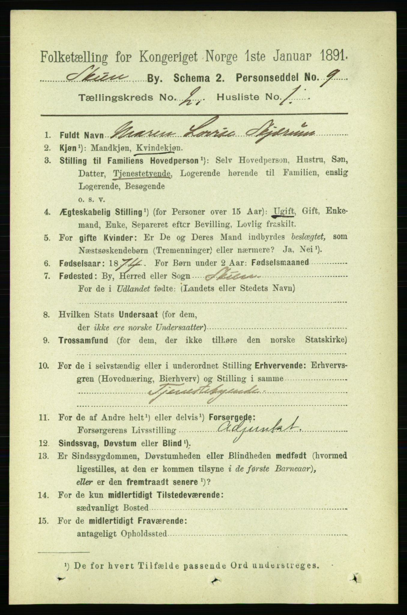 RA, 1891 census for 0806 Skien, 1891, p. 2317