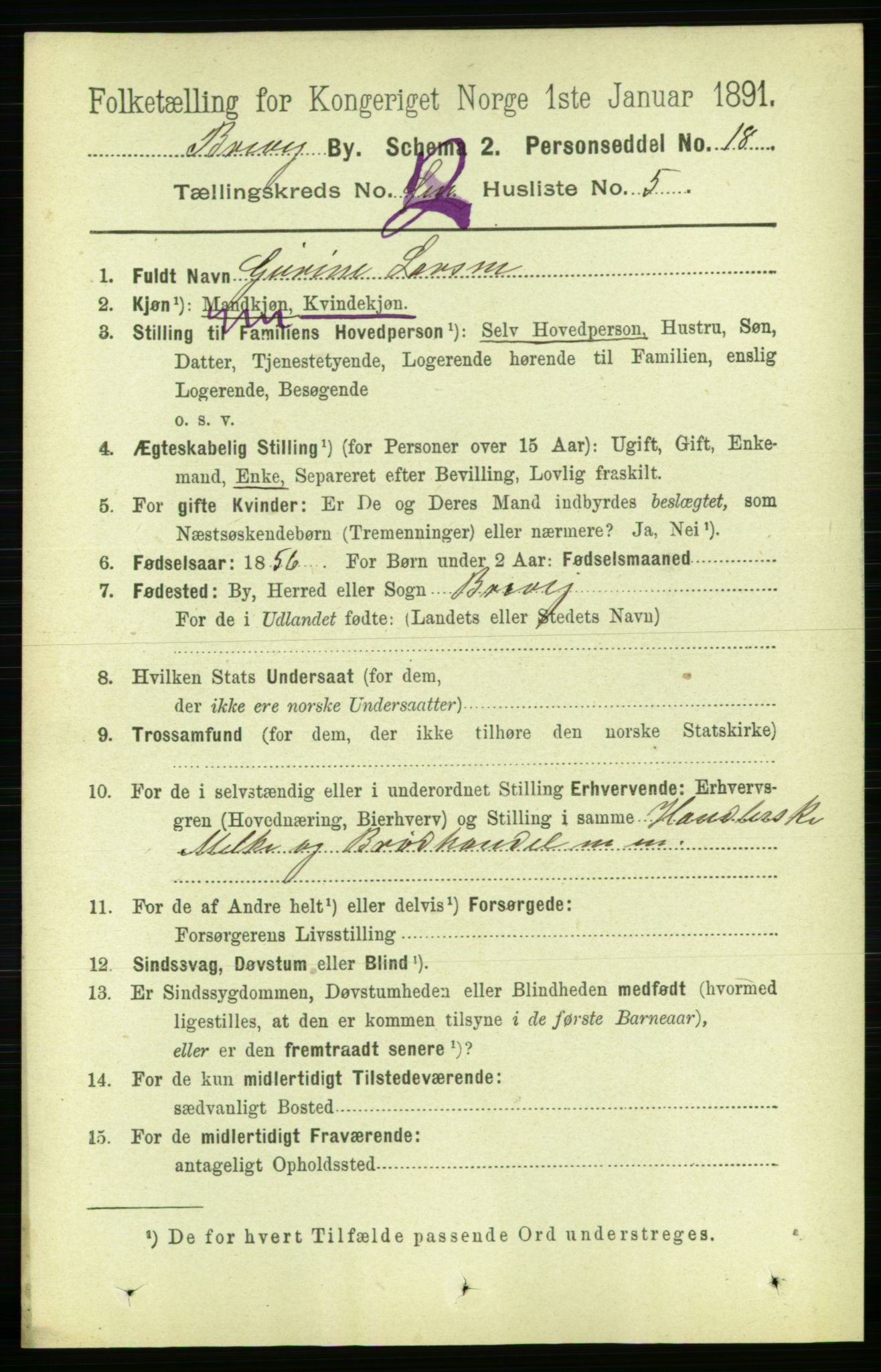 RA, 1891 census for 0804 Brevik, 1891, p. 1621