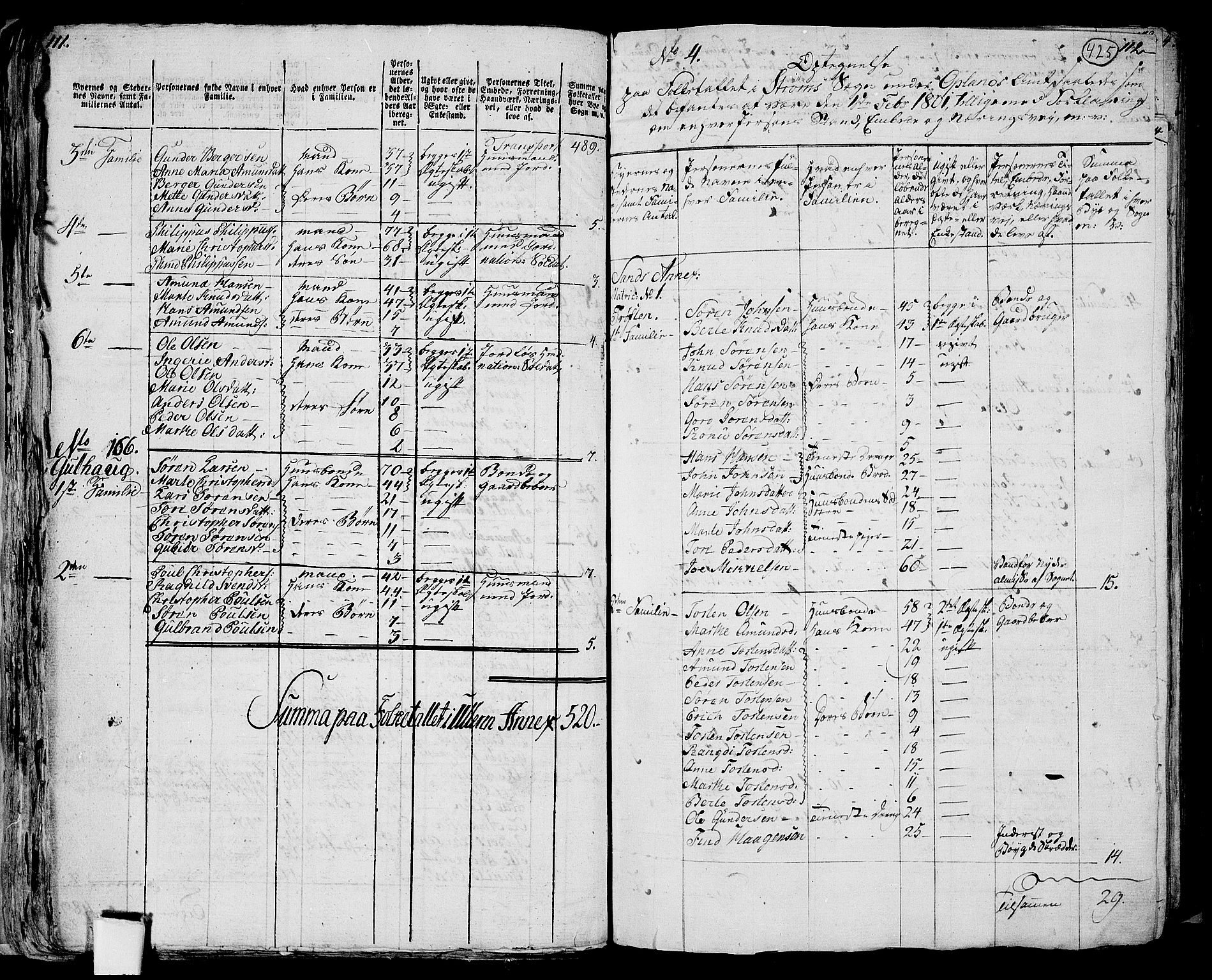 RA, 1801 census for 0419P Strøm, 1801, p. 424b-425a