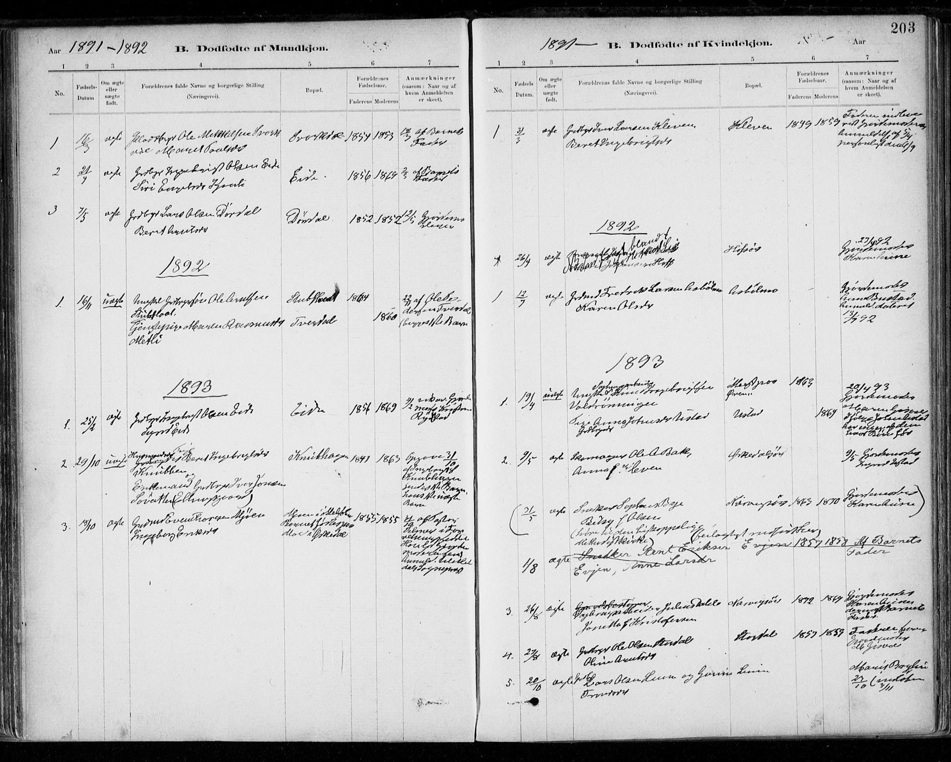 Ministerialprotokoller, klokkerbøker og fødselsregistre - Sør-Trøndelag, SAT/A-1456/668/L0809: Parish register (official) no. 668A09, 1881-1895, p. 203