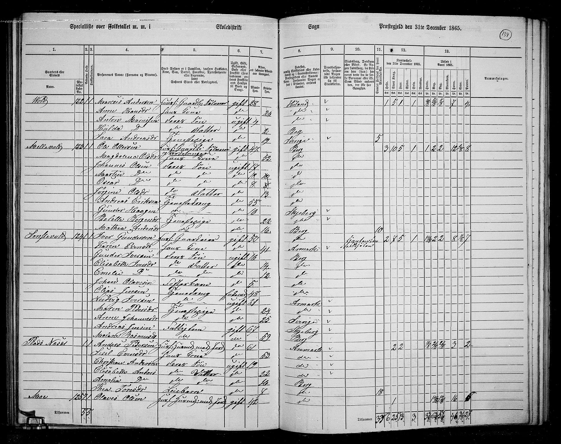 RA, 1865 census for Berg, 1865, p. 117