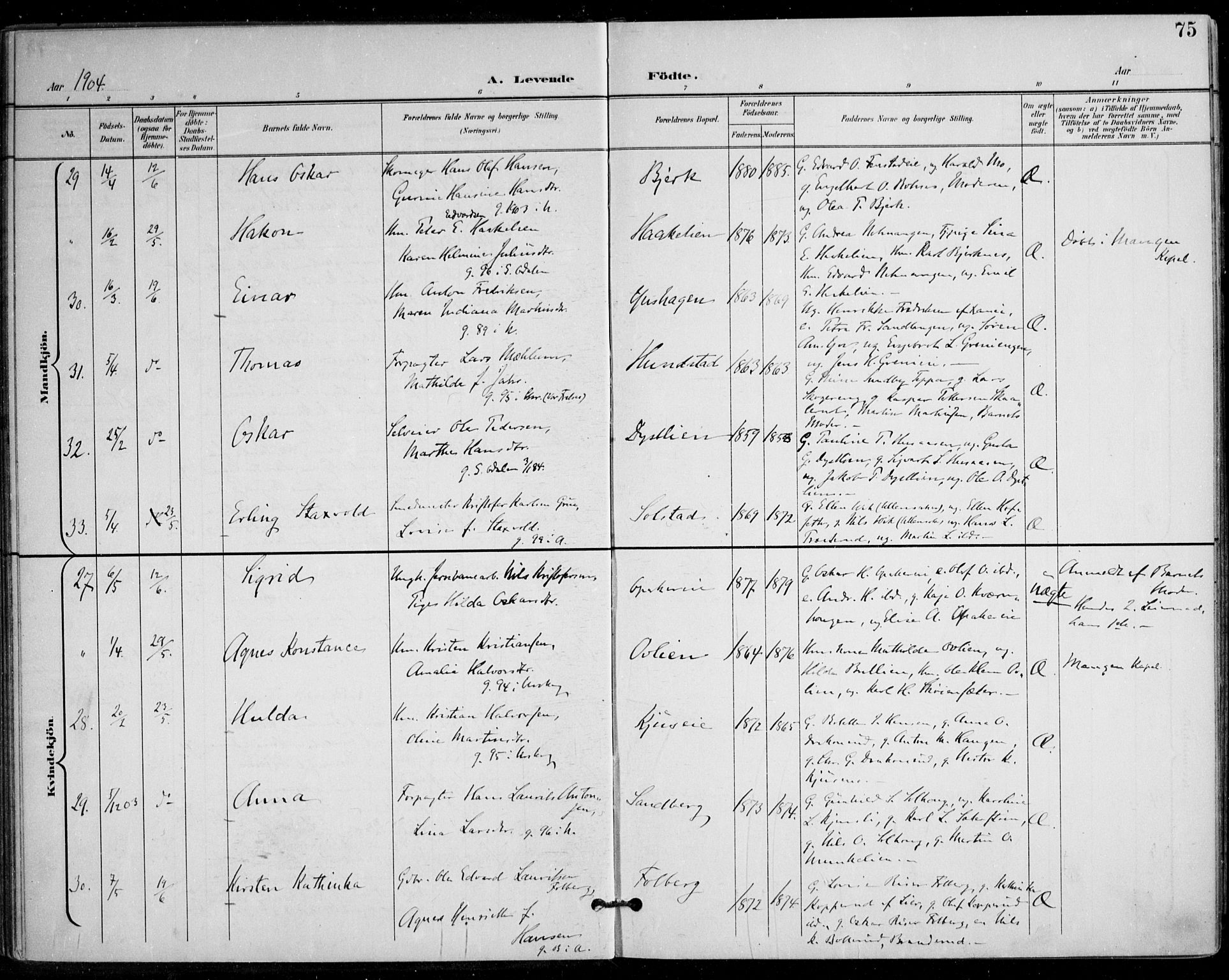 Nes prestekontor Kirkebøker, AV/SAO-A-10410/F/Fa/L0011: Parish register (official) no. I 11, 1899-1918, p. 75