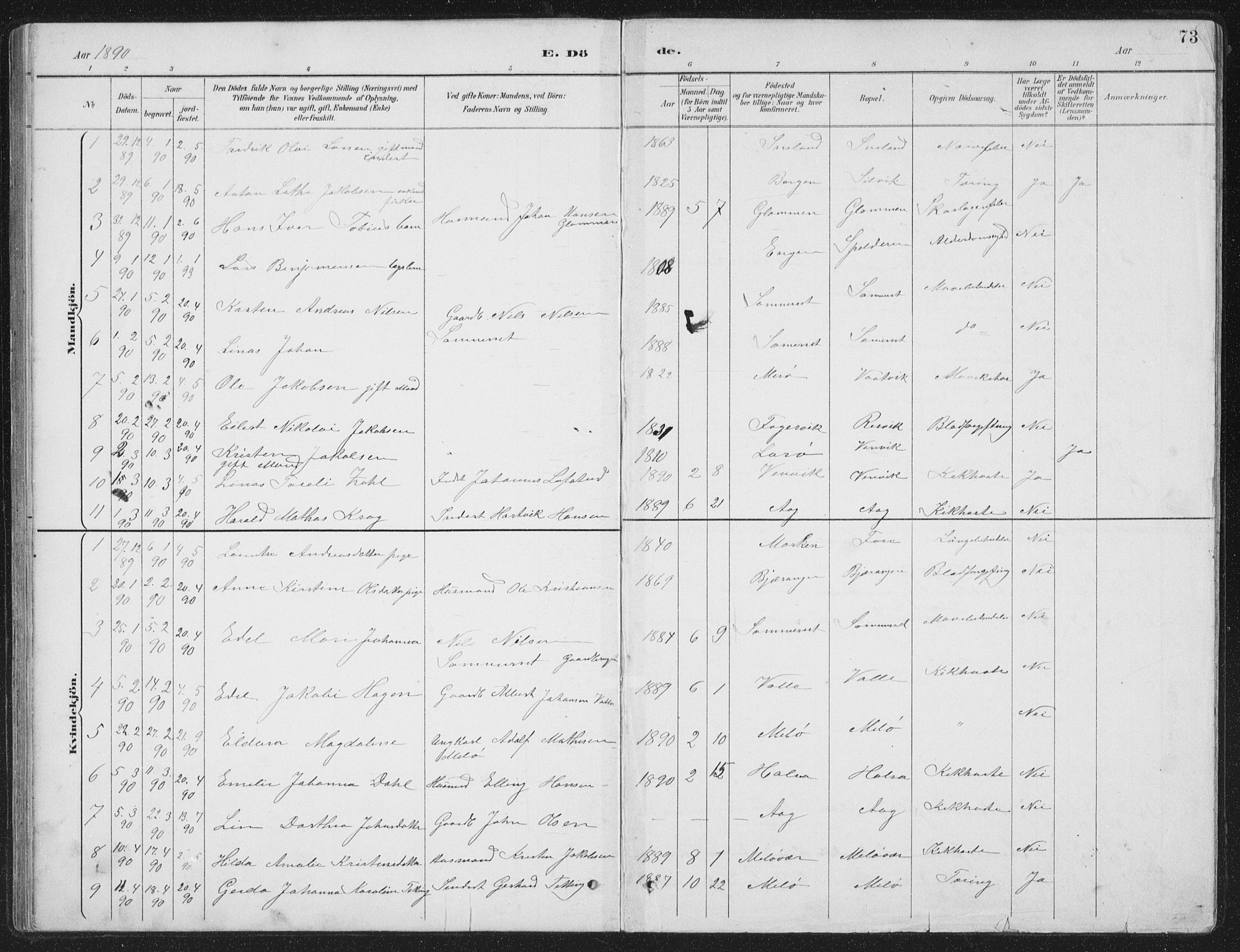 Ministerialprotokoller, klokkerbøker og fødselsregistre - Nordland, AV/SAT-A-1459/843/L0638: Parish register (copy) no. 843C07, 1888-1907, p. 73