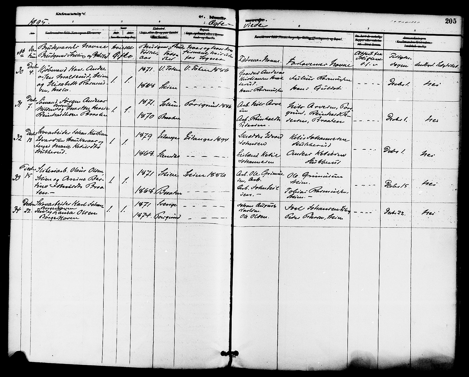 Gjerpen kirkebøker, SAKO/A-265/F/Fa/L0010: Parish register (official) no. I 10, 1886-1895, p. 205