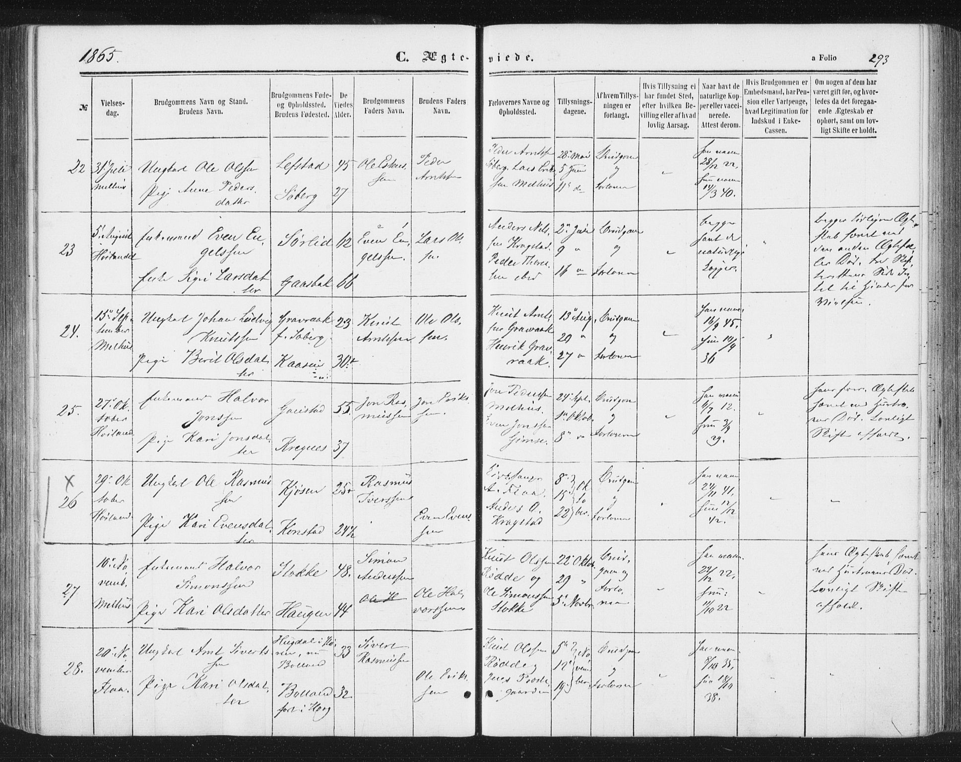 Ministerialprotokoller, klokkerbøker og fødselsregistre - Sør-Trøndelag, SAT/A-1456/691/L1077: Parish register (official) no. 691A09, 1862-1873, p. 293