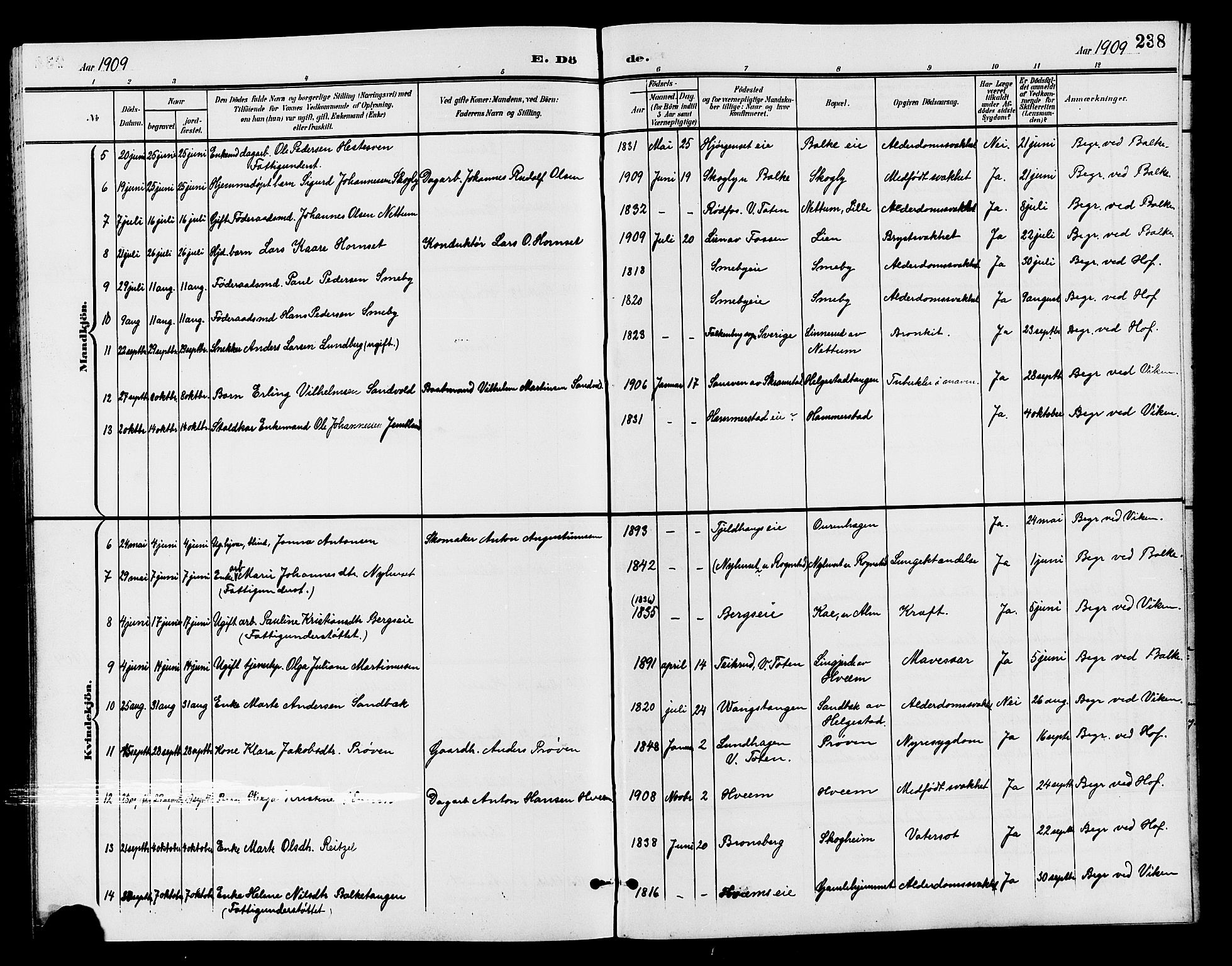 Østre Toten prestekontor, SAH/PREST-104/H/Ha/Hab/L0007: Parish register (copy) no. 7, 1901-1912, p. 238