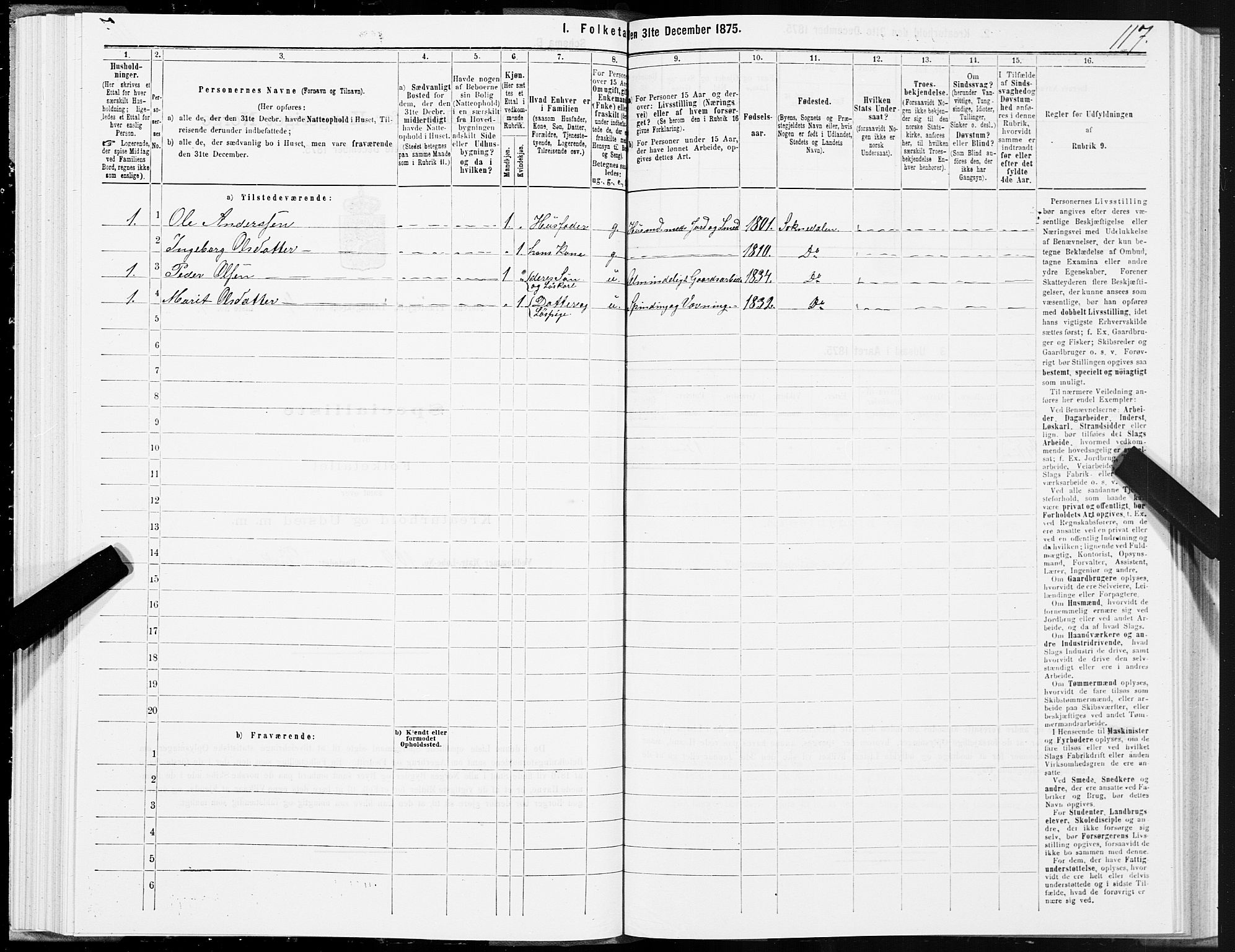 SAT, 1875 census for 1648P Støren, 1875, p. 8117