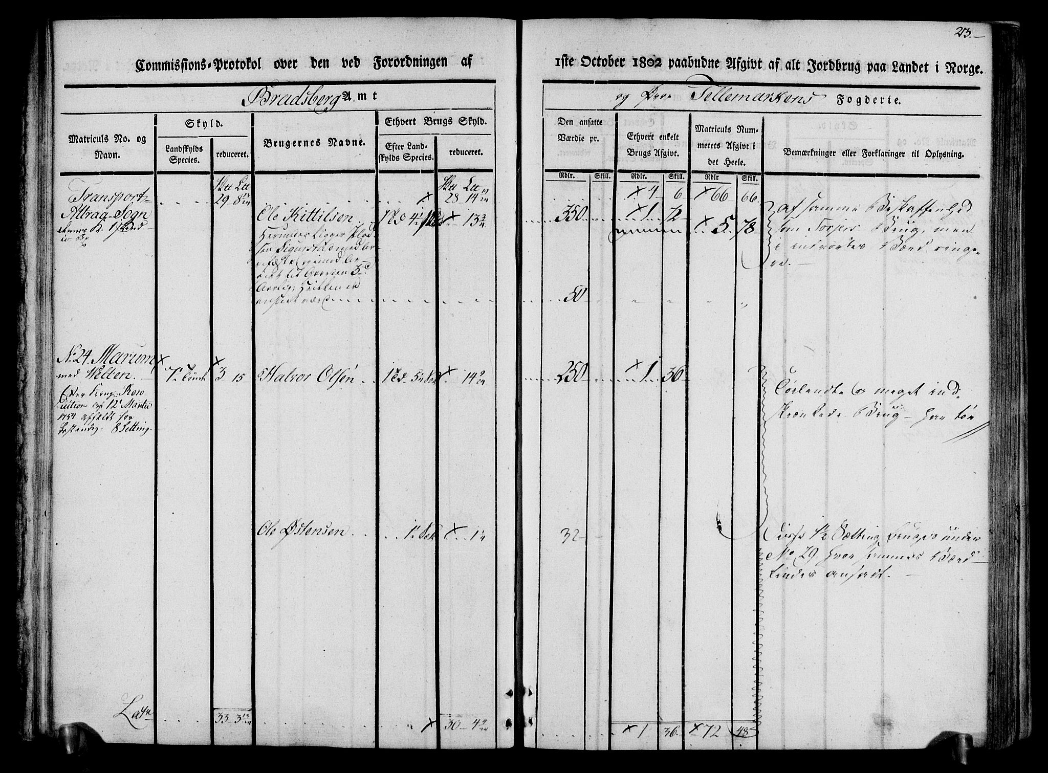 Rentekammeret inntil 1814, Realistisk ordnet avdeling, RA/EA-4070/N/Ne/Nea/L0074: Øvre Telemarken fogderi. Kommisjonsprotokoll for fogderiets østre del - Tinn, Hjartdal og Seljord prestegjeld., 1803, p. 23