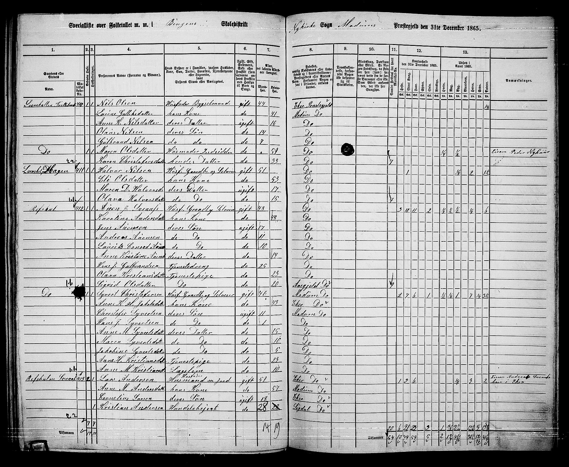 RA, 1865 census for Modum, 1865, p. 279