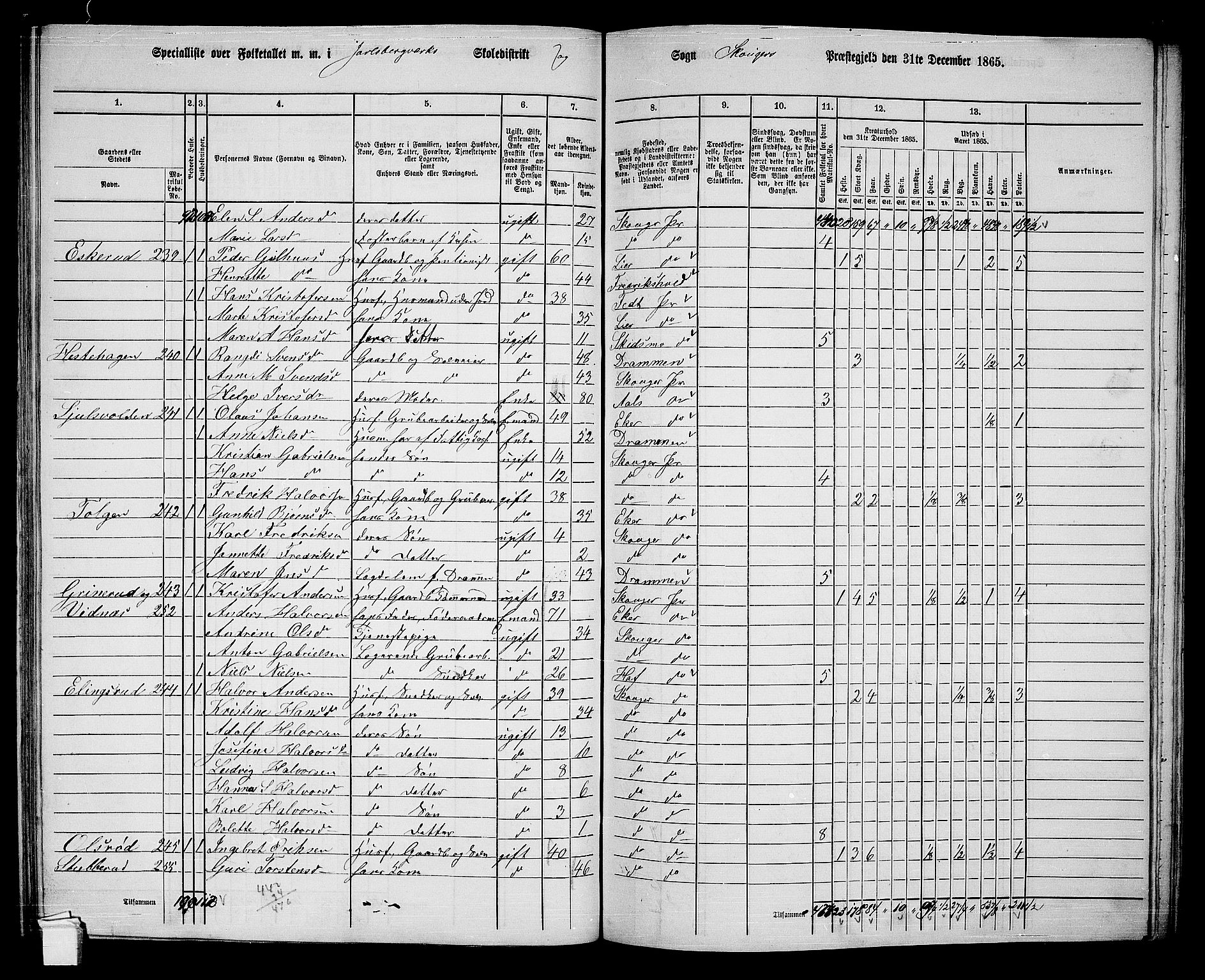 RA, 1865 census for Skoger, 1865, p. 110