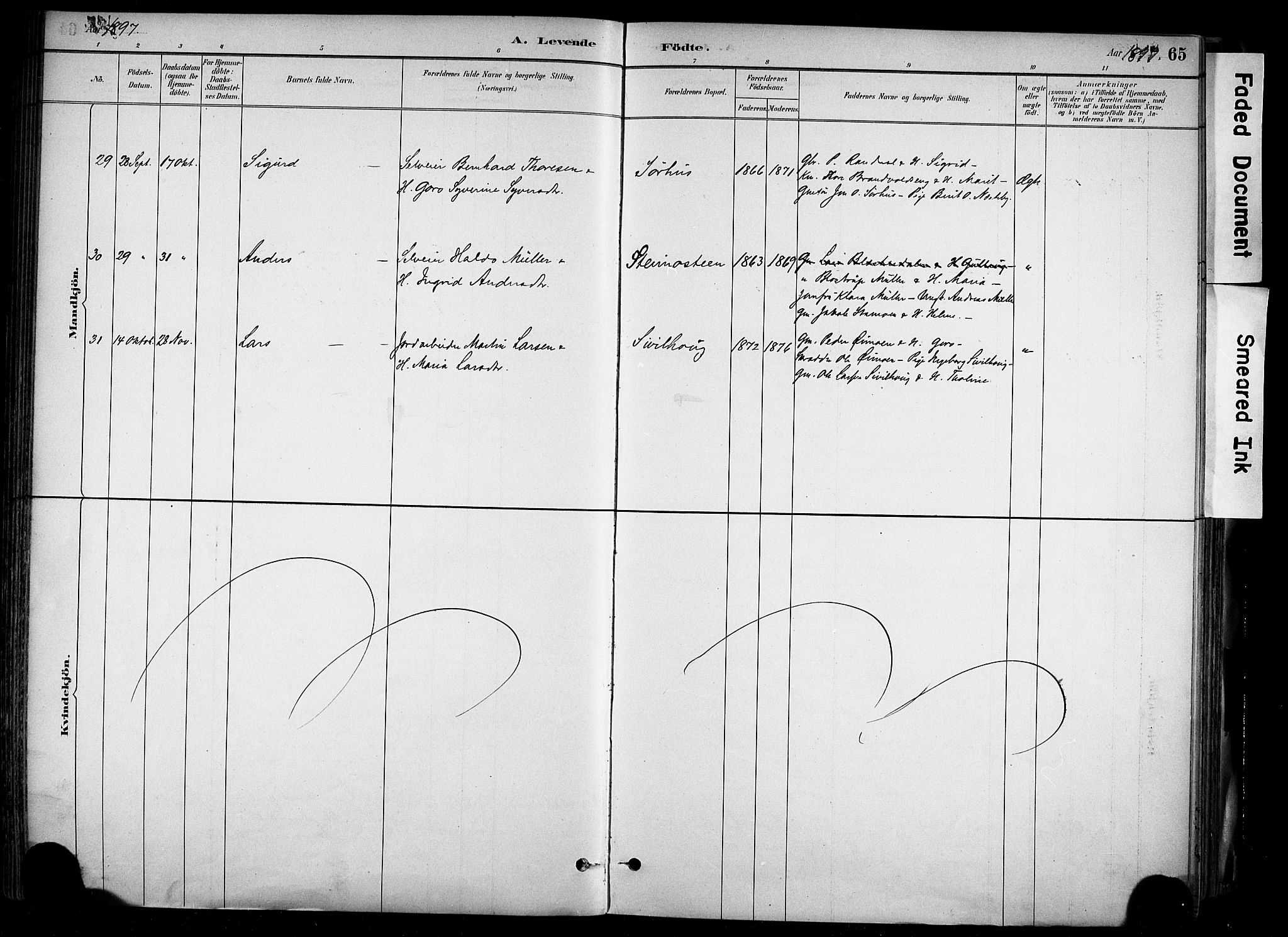 Alvdal prestekontor, AV/SAH-PREST-060/H/Ha/Haa/L0002: Parish register (official) no. 2, 1883-1906, p. 65