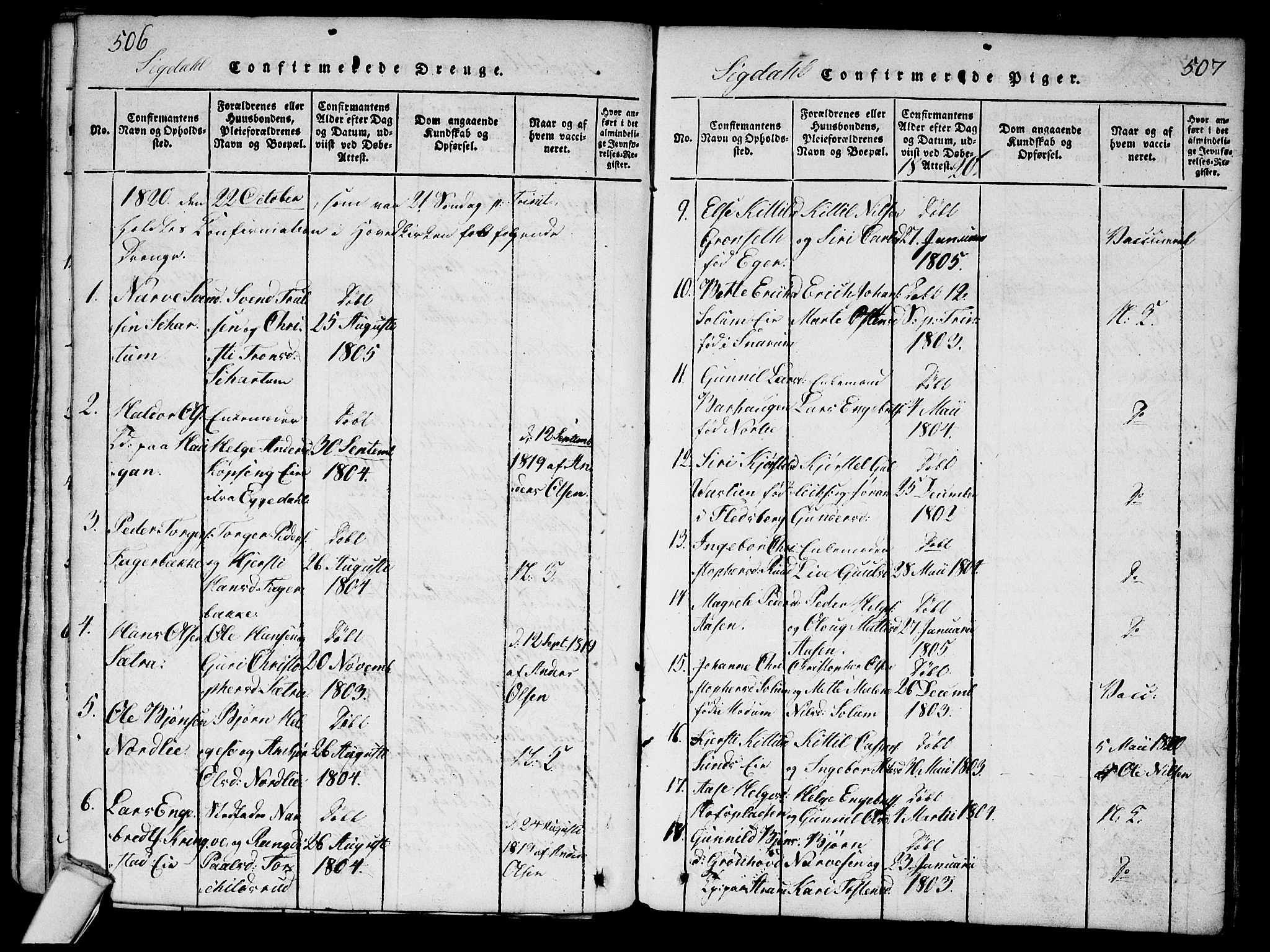 Sigdal kirkebøker, AV/SAKO-A-245/G/Ga/L0001: Parish register (copy) no. I 1 /1, 1816-1835, p. 506-507