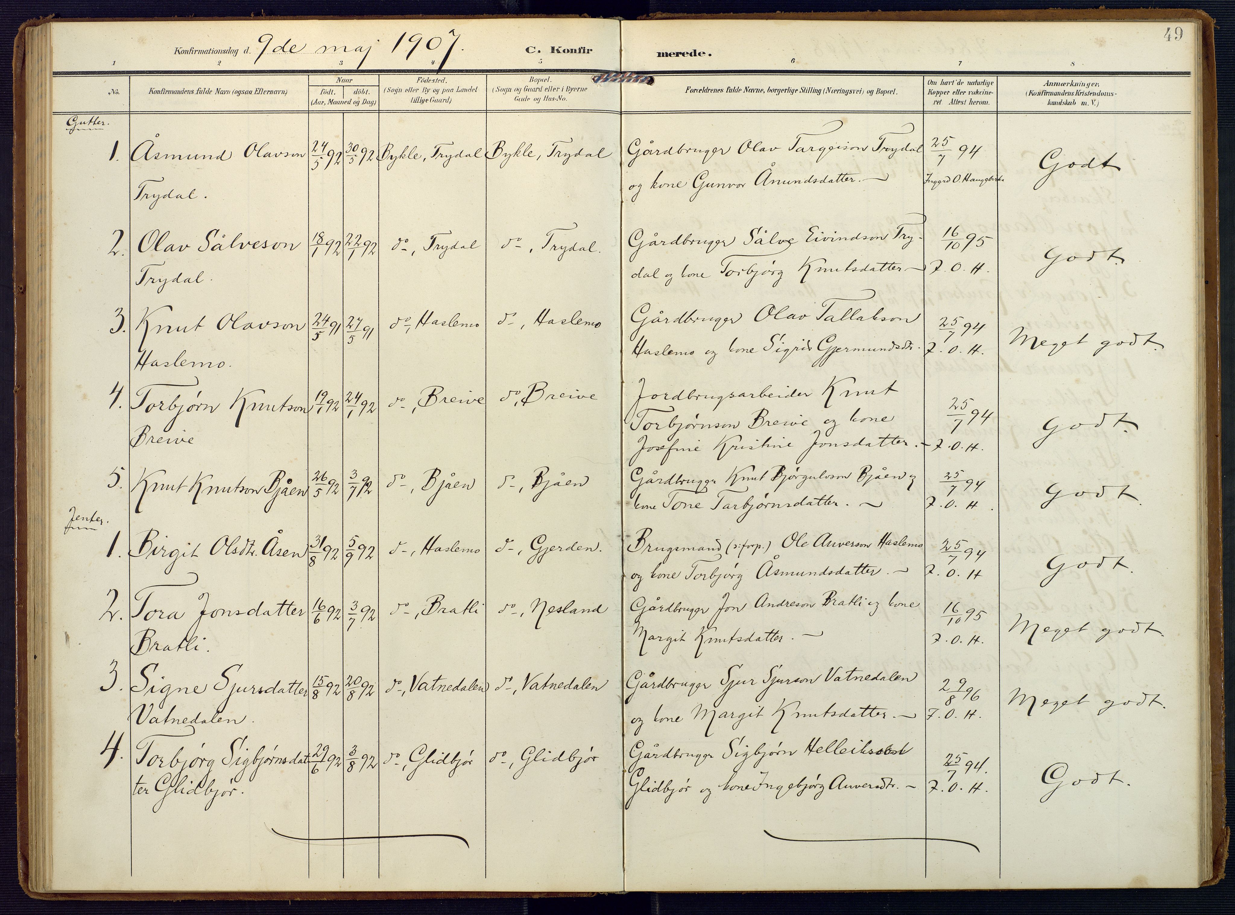 Valle sokneprestkontor, SAK/1111-0044/F/Fa/Faa/L0002: Parish register (official) no. A 2, 1907-1919, p. 49