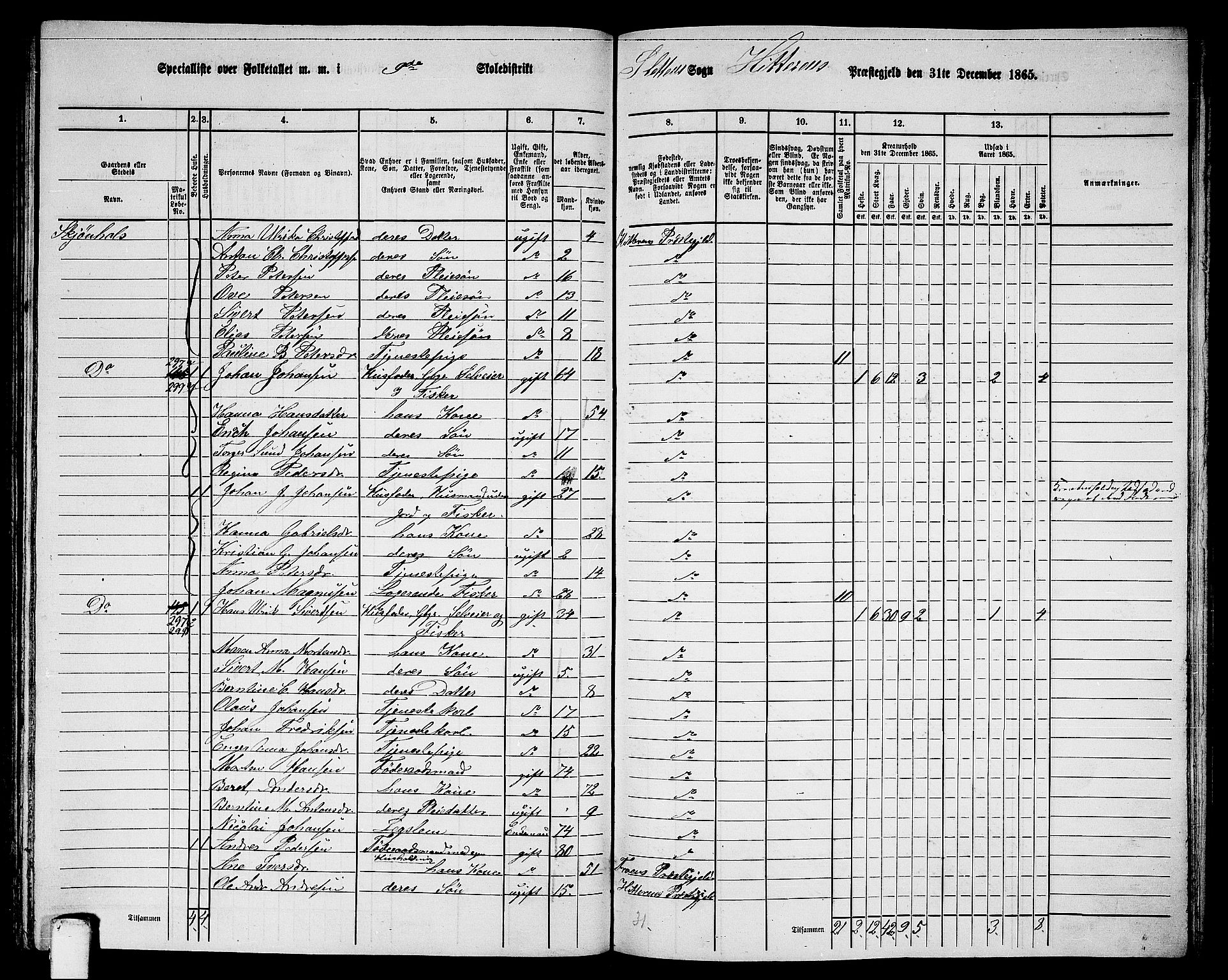 RA, 1865 census for Hitra, 1865, p. 219