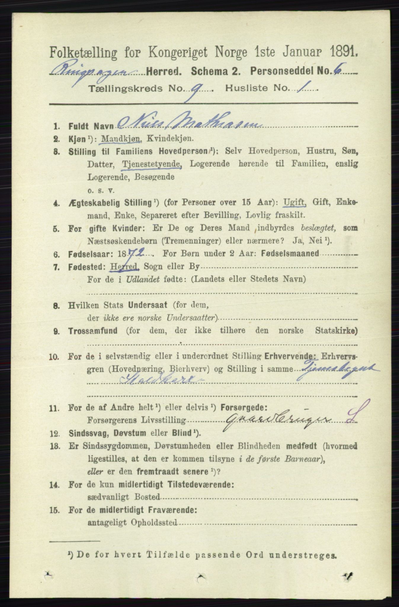 RA, 1891 census for 0412 Ringsaker, 1891, p. 5053