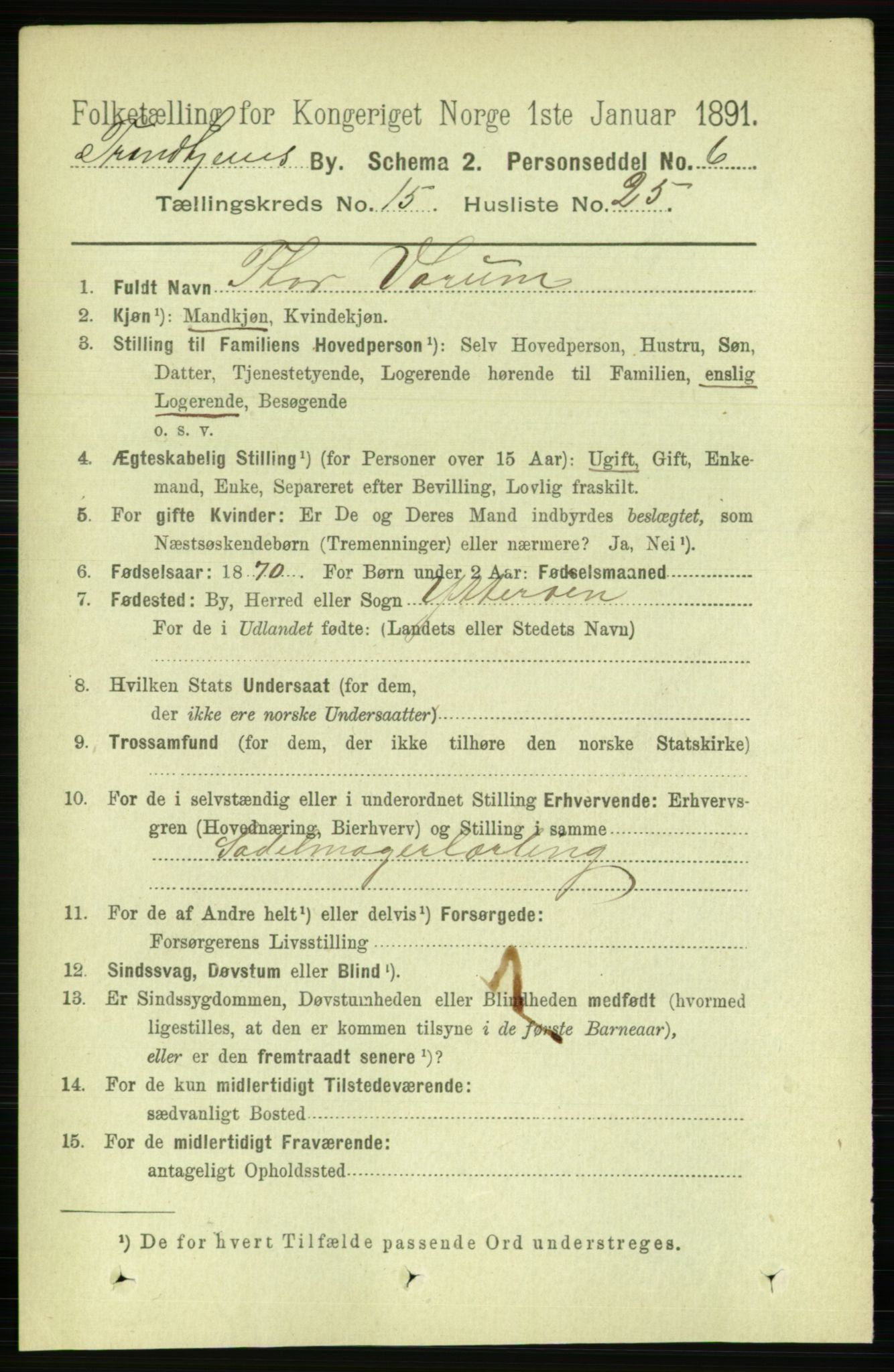 RA, 1891 census for 1601 Trondheim, 1891, p. 11873