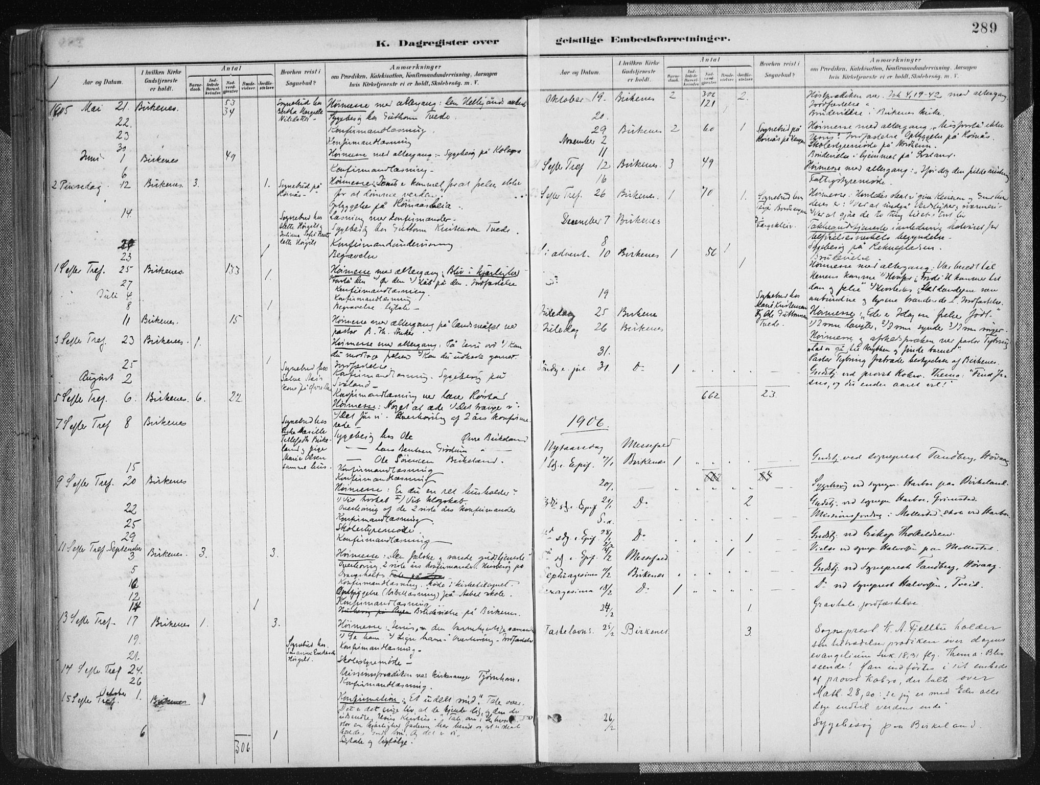 Birkenes sokneprestkontor, SAK/1111-0004/F/Fa/L0005: Parish register (official) no. A 5, 1887-1907, p. 289