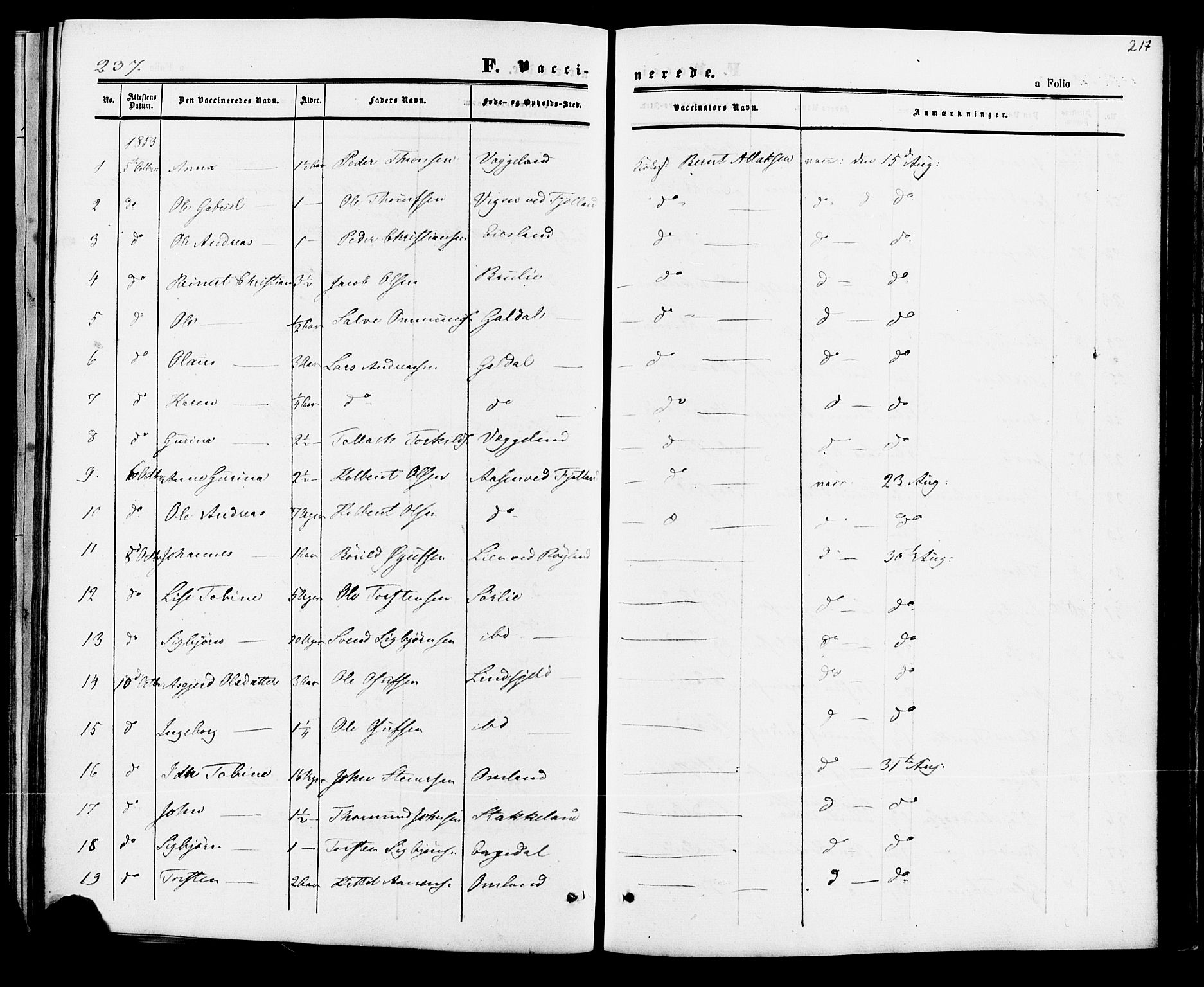 Fjotland sokneprestkontor, AV/SAK-1111-0010/F/Fa/L0001: Parish register (official) no. A 1, 1850-1879, p. 217