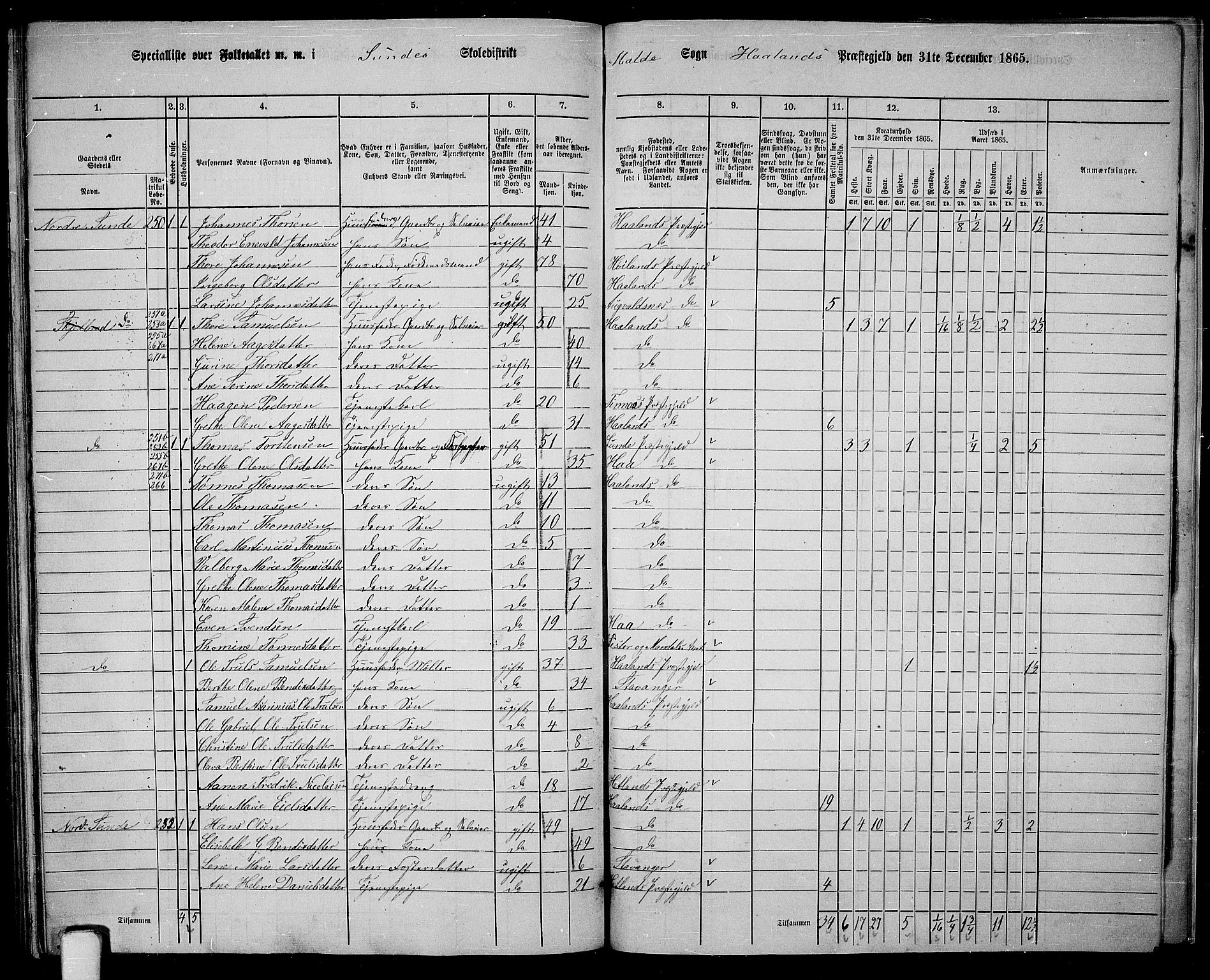 RA, 1865 census for Håland, 1865, p. 115