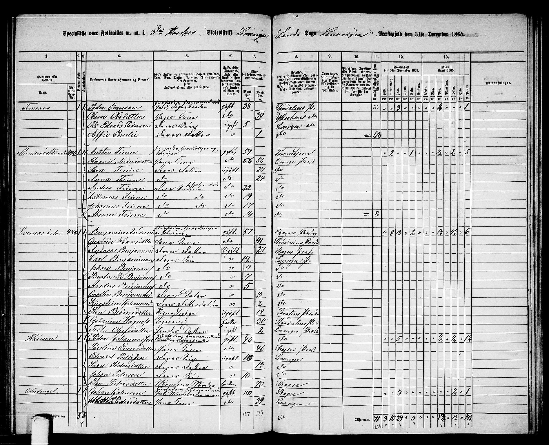 RA, 1865 census for Levanger/Levanger, 1865, p. 65