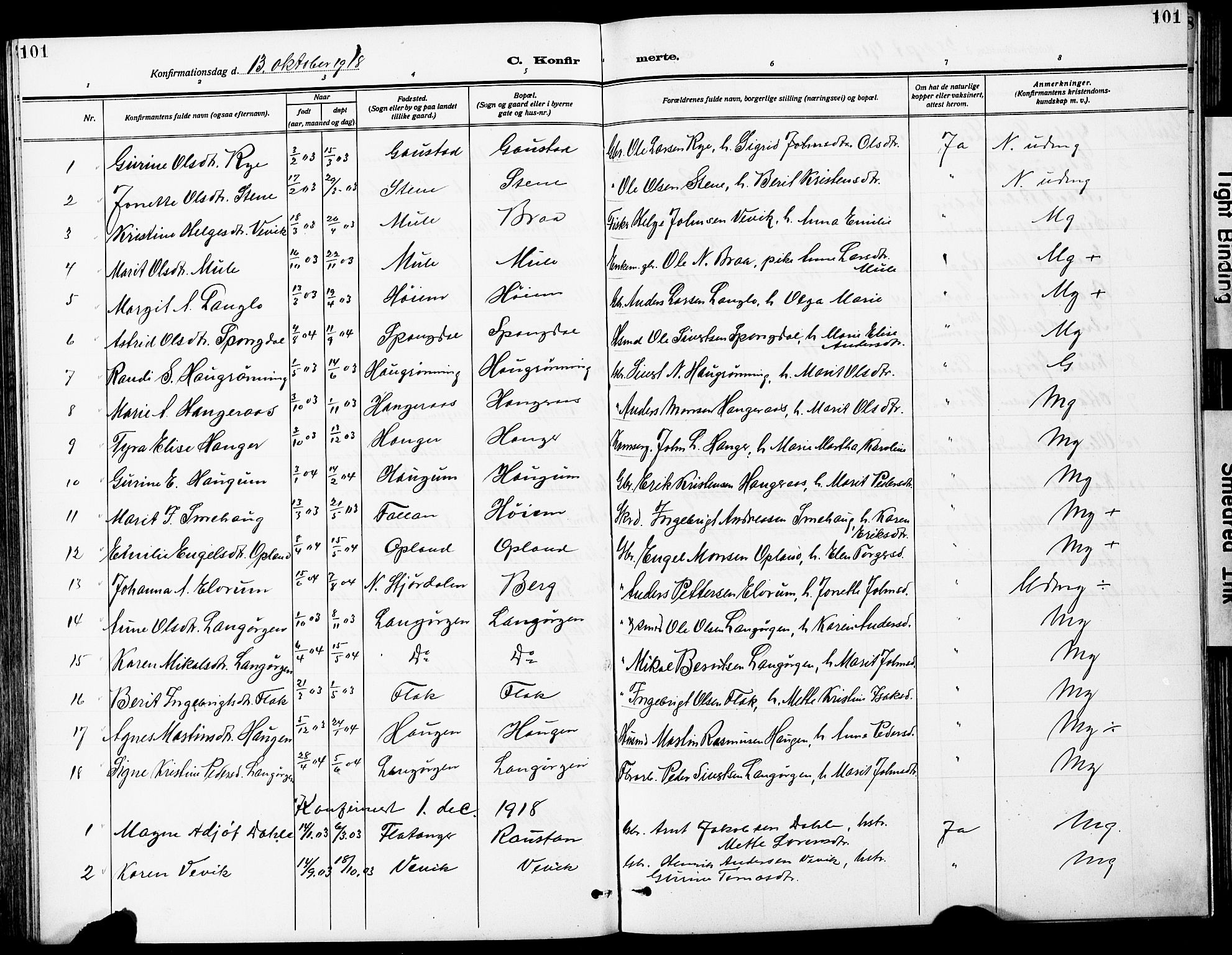 Ministerialprotokoller, klokkerbøker og fødselsregistre - Sør-Trøndelag, SAT/A-1456/612/L0388: Parish register (copy) no. 612C04, 1909-1929, p. 101