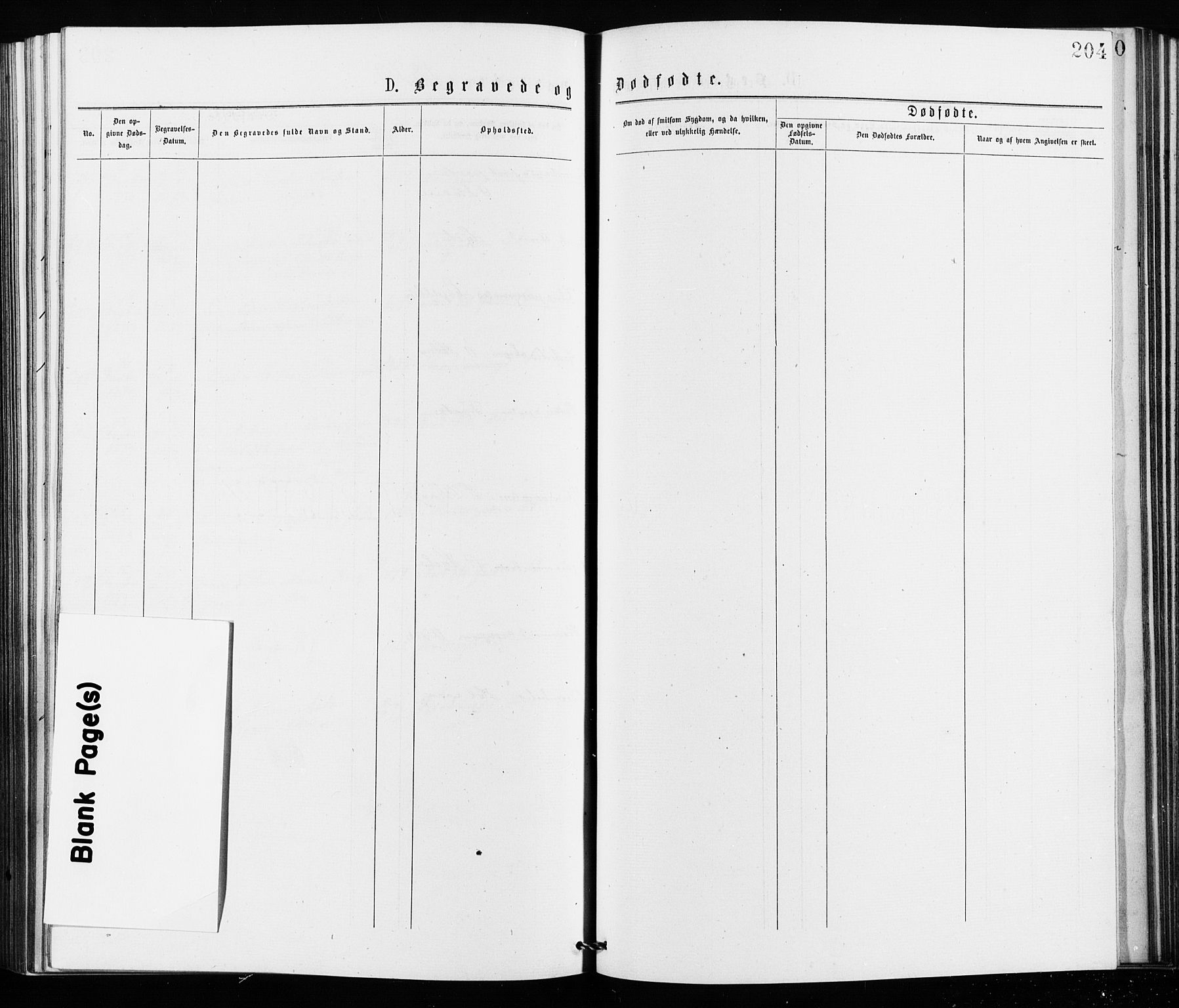 Jakob prestekontor Kirkebøker, SAO/A-10850/F/Fa/L0002: Parish register (official) no. 2, 1875-1879, p. 204