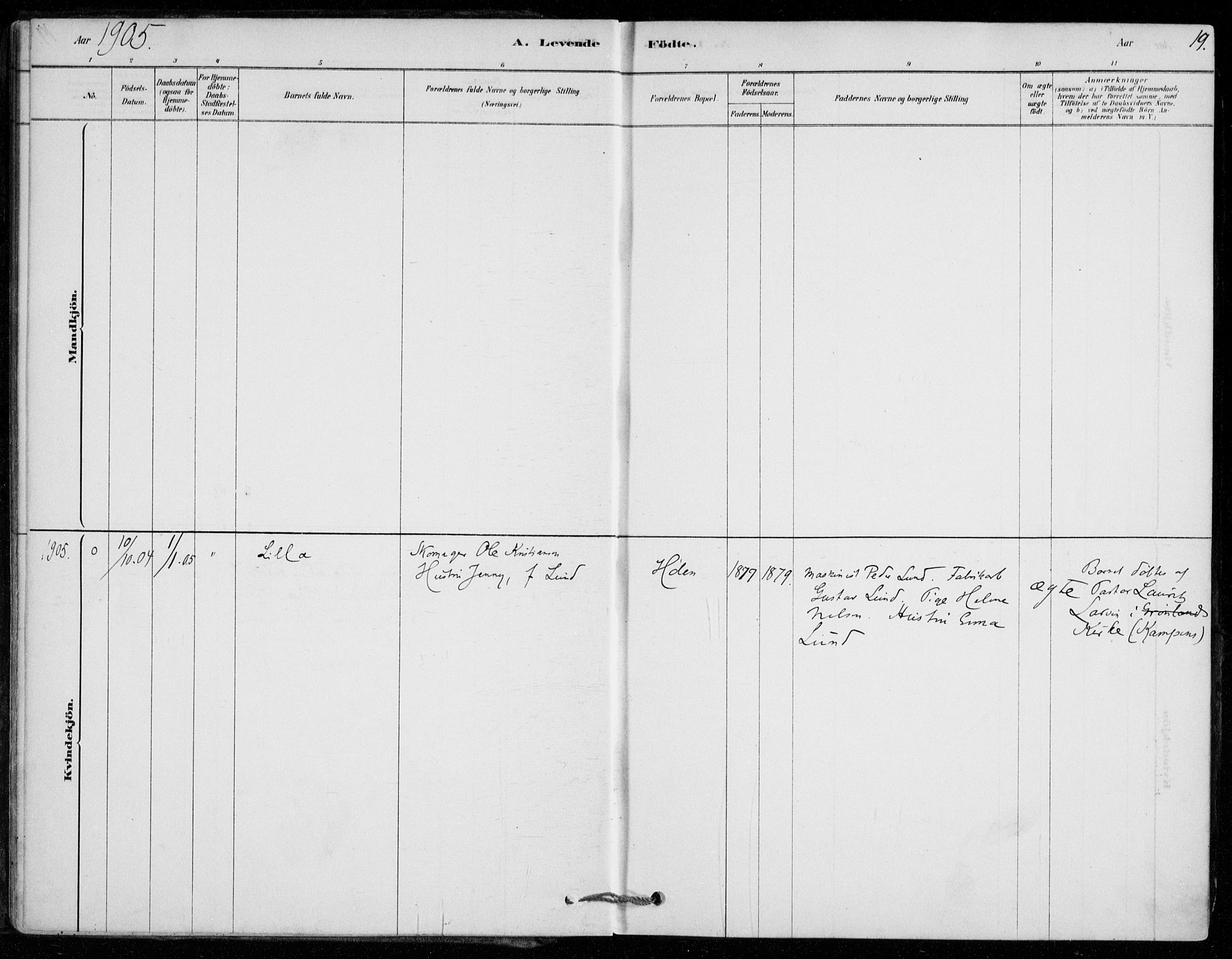 Vestby prestekontor Kirkebøker, SAO/A-10893/F/Fe/L0001: Parish register (official) no. V 1, 1878-1931, p. 19