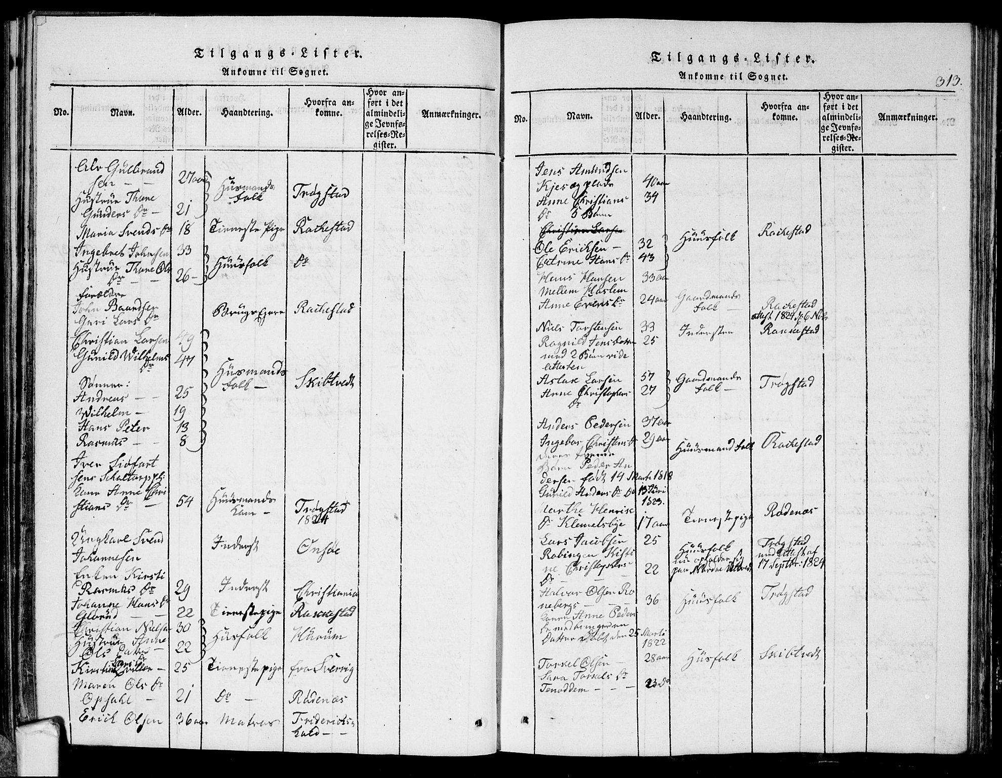 Eidsberg prestekontor Kirkebøker, AV/SAO-A-10905/G/Ga/L0001: Parish register (copy) no. I 1, 1814-1831, p. 313