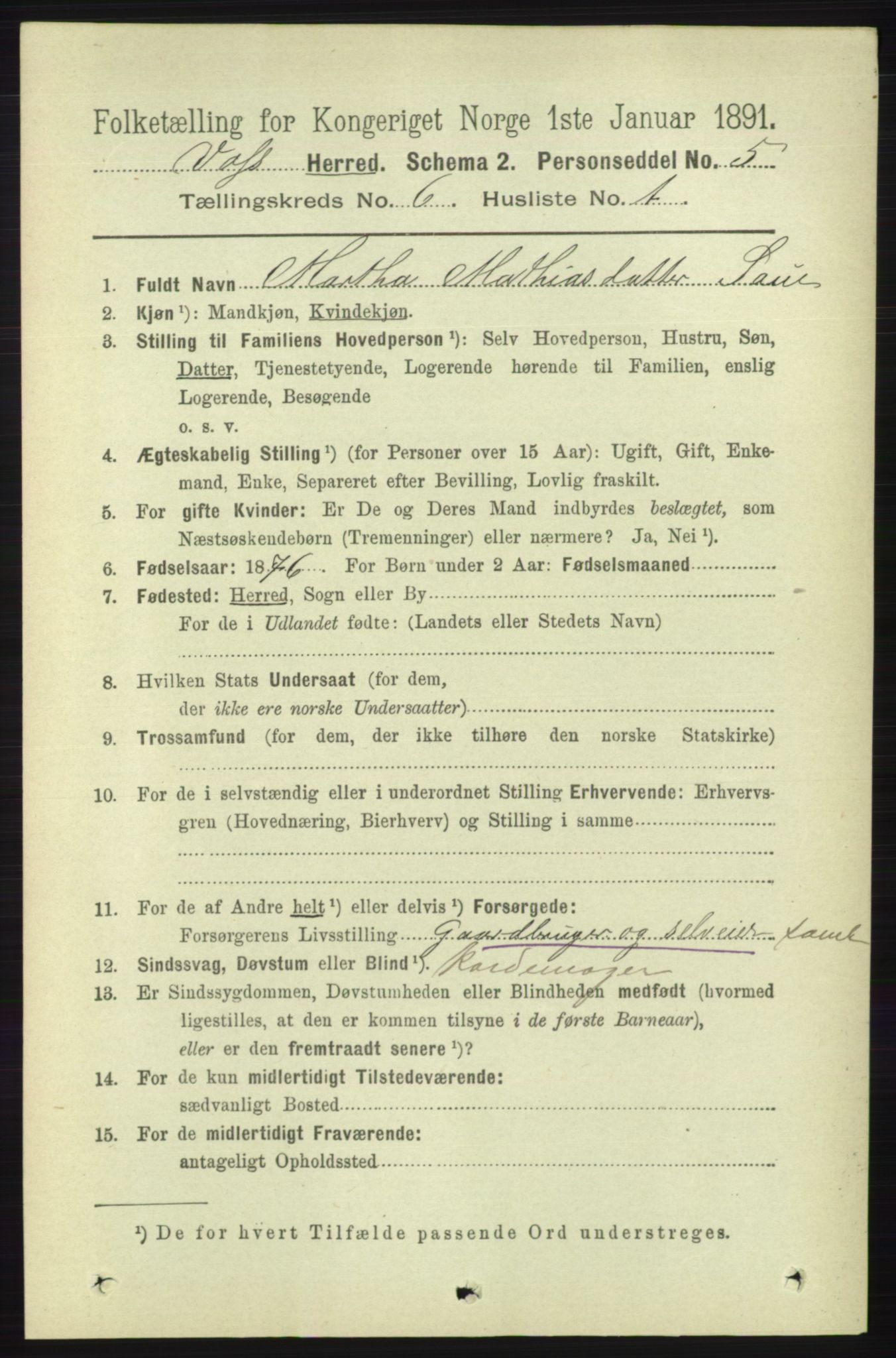 RA, 1891 census for 1235 Voss, 1891, p. 3294