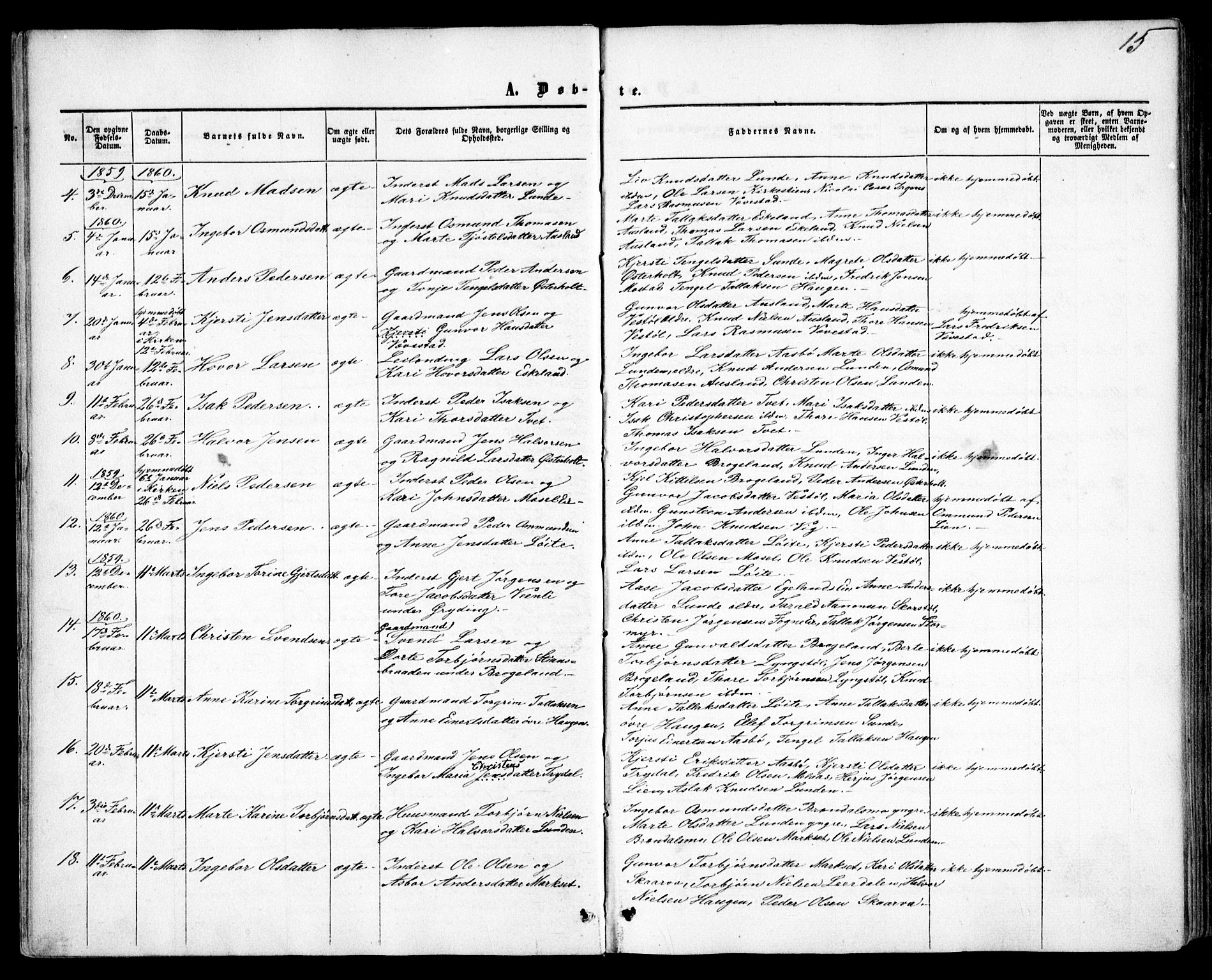 Gjerstad sokneprestkontor, SAK/1111-0014/F/Fa/Faa/L0007: Parish register (official) no. A 7, 1858-1875, p. 15