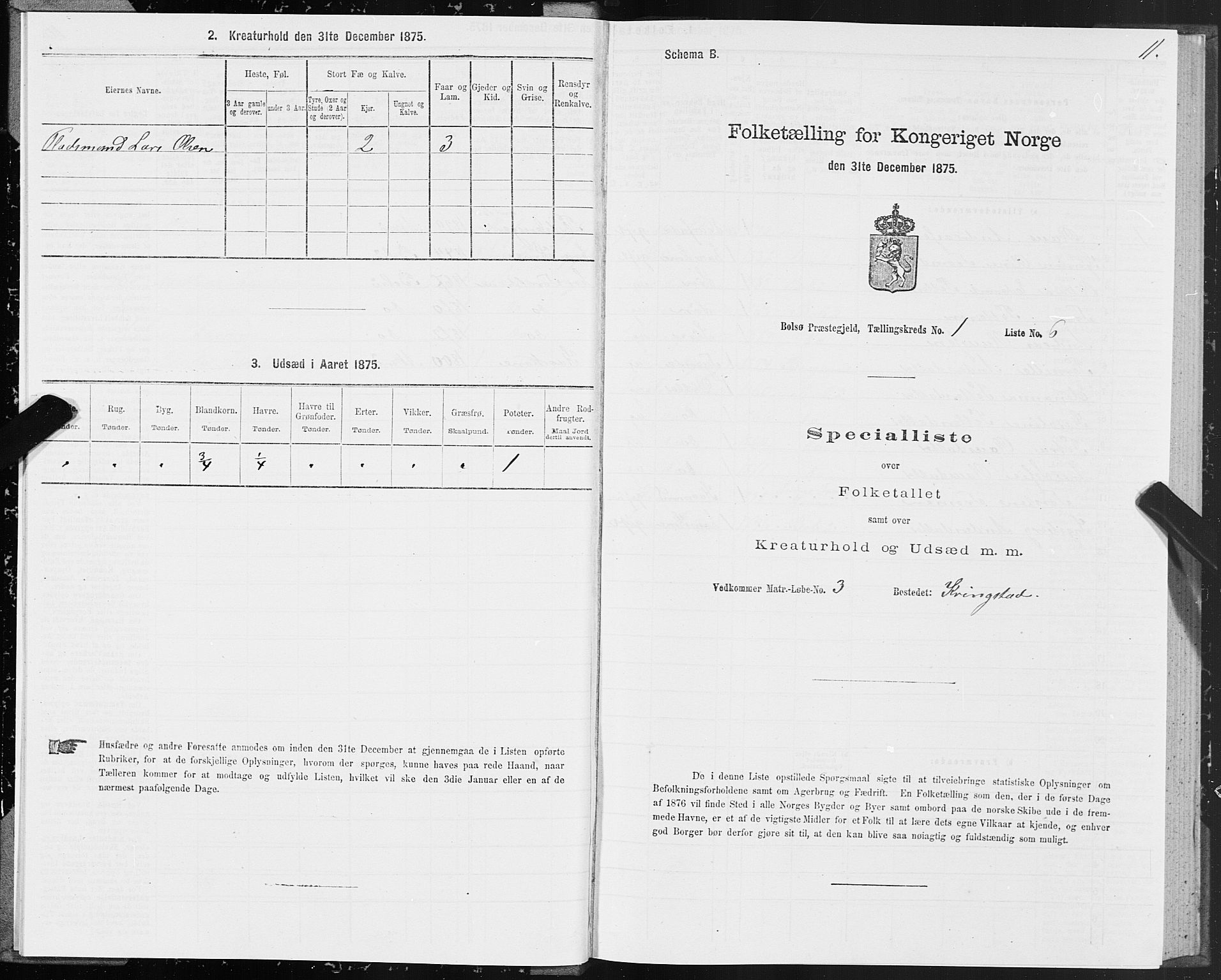 SAT, 1875 census for 1544P Bolsøy, 1875, p. 1011