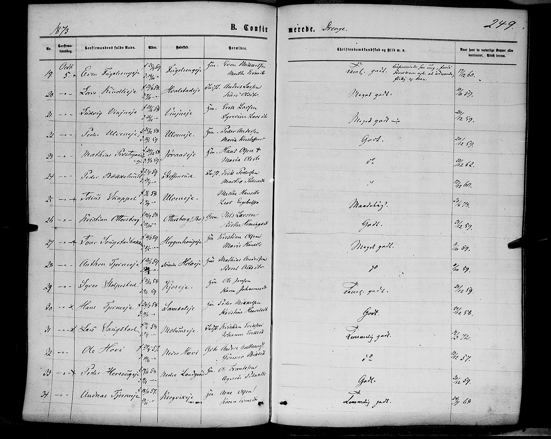 Ringsaker prestekontor, AV/SAH-PREST-014/K/Ka/L0011: Parish register (official) no. 11, 1870-1878, p. 249