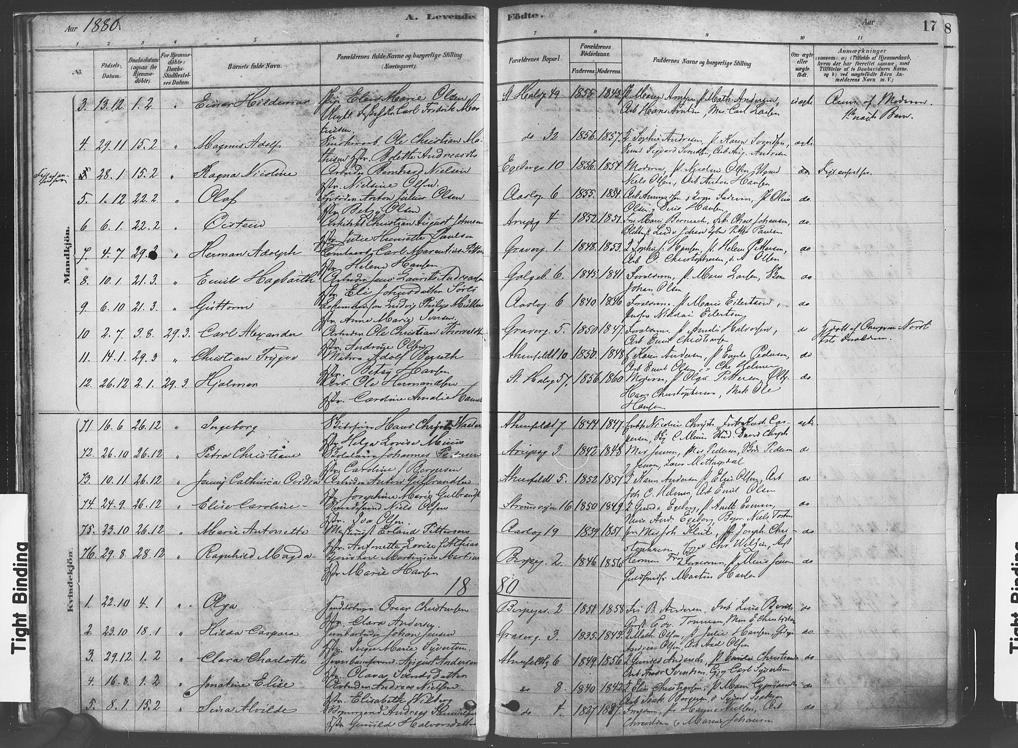 Gamlebyen prestekontor Kirkebøker, AV/SAO-A-10884/F/Fa/L0005: Parish register (official) no. 5, 1878-1889, p. 17