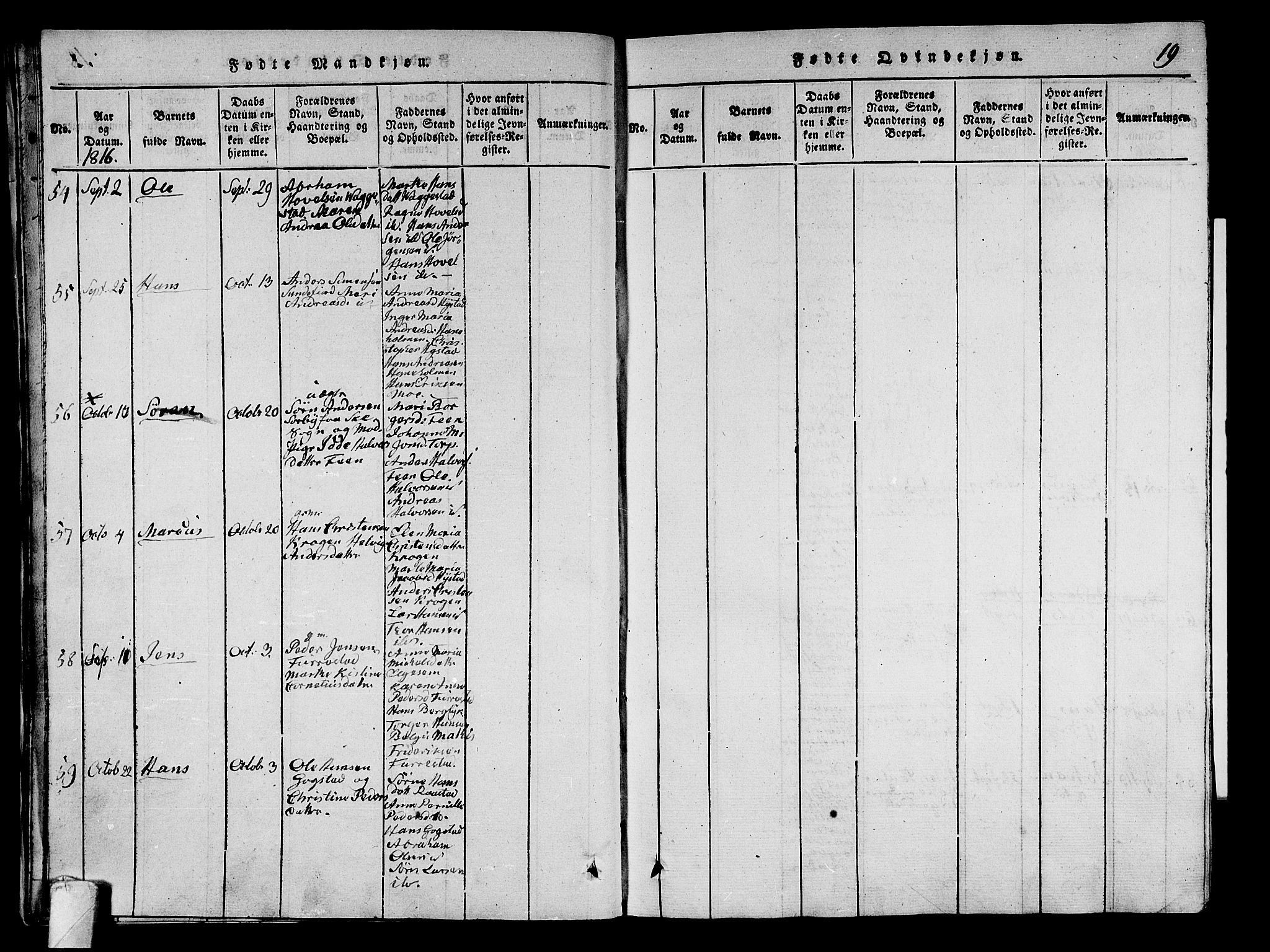 Sandar kirkebøker, AV/SAKO-A-243/G/Ga/L0001: Parish register (copy) no. 1, 1814-1835, p. 19