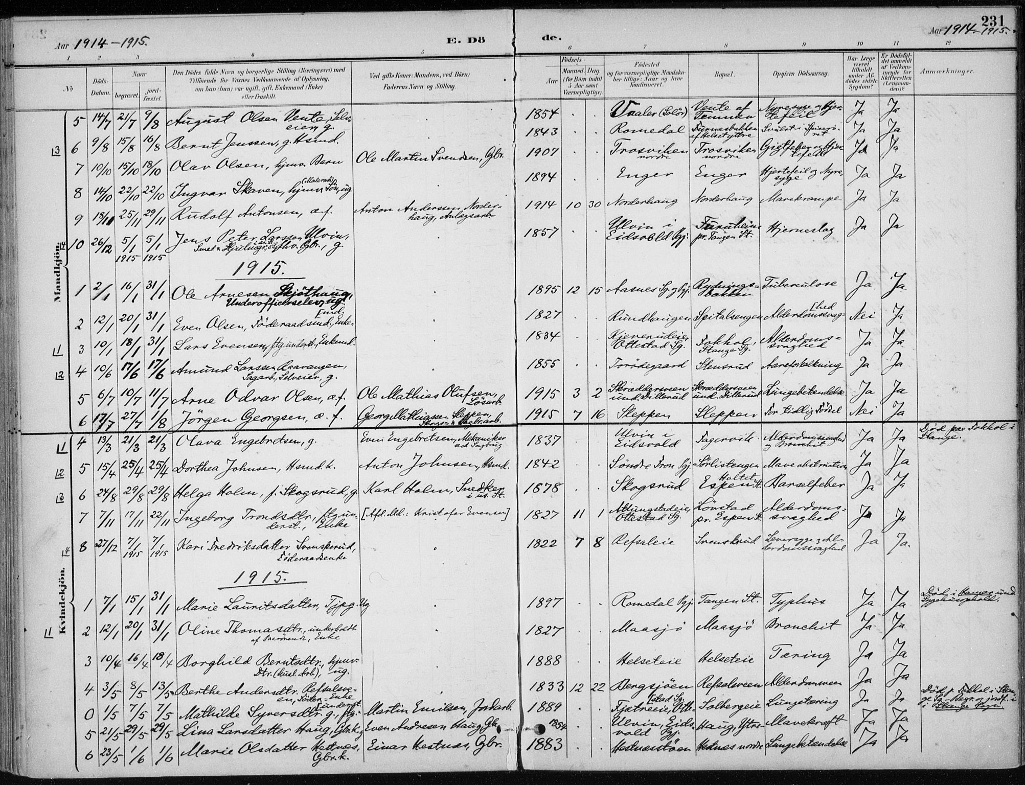 Stange prestekontor, AV/SAH-PREST-002/K/L0023: Parish register (official) no. 23, 1897-1920, p. 231