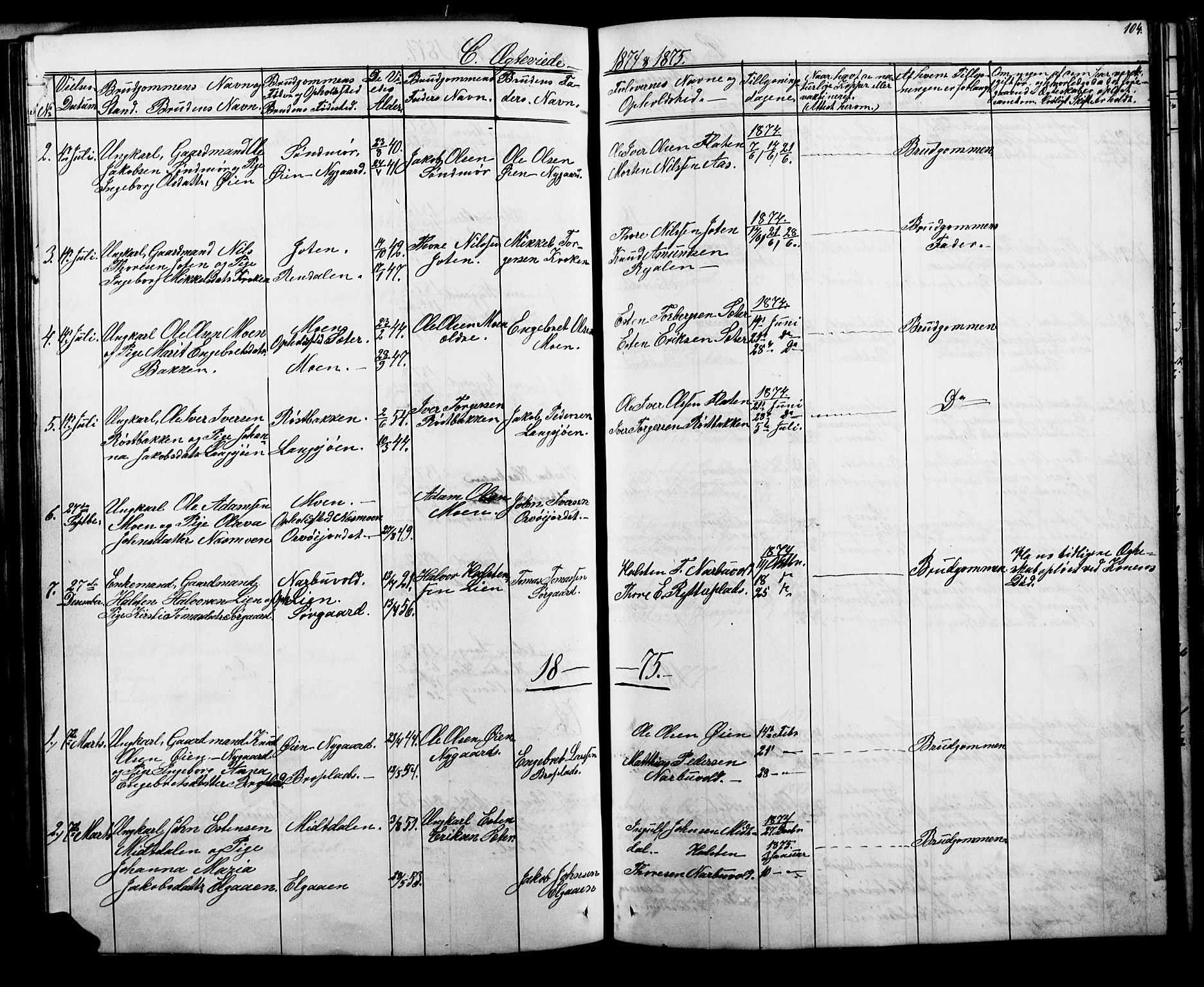 Tolga prestekontor, SAH/PREST-062/L/L0006: Parish register (copy) no. 6, 1864-1894, p. 104