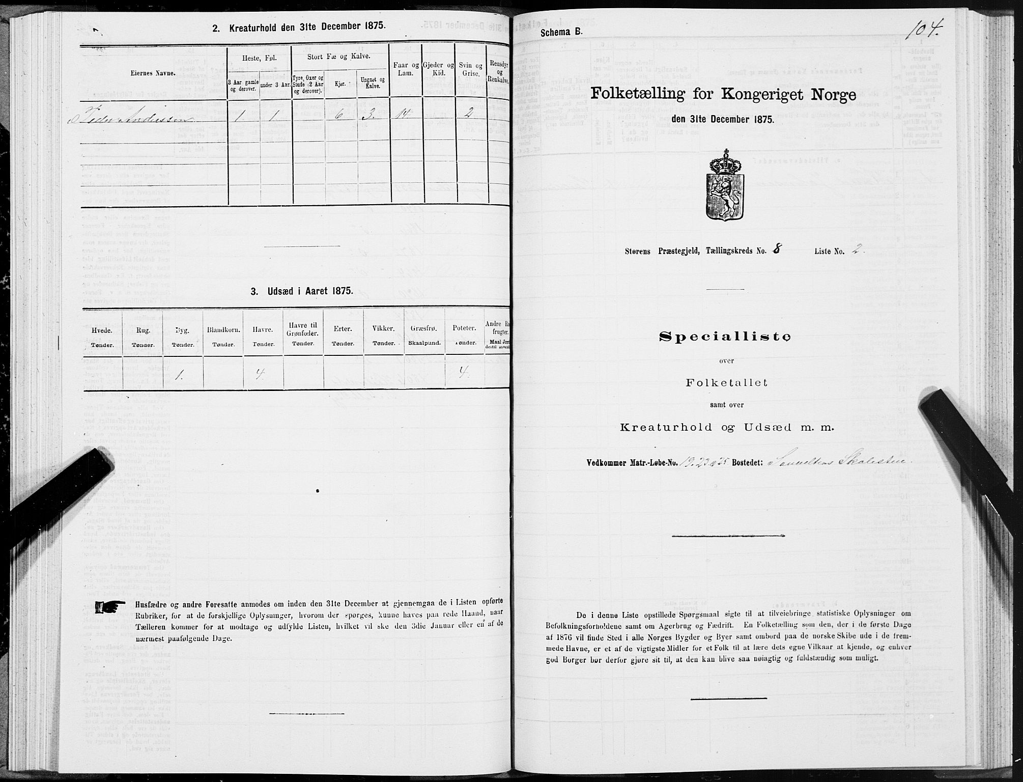 SAT, 1875 census for 1648P Støren, 1875, p. 4104