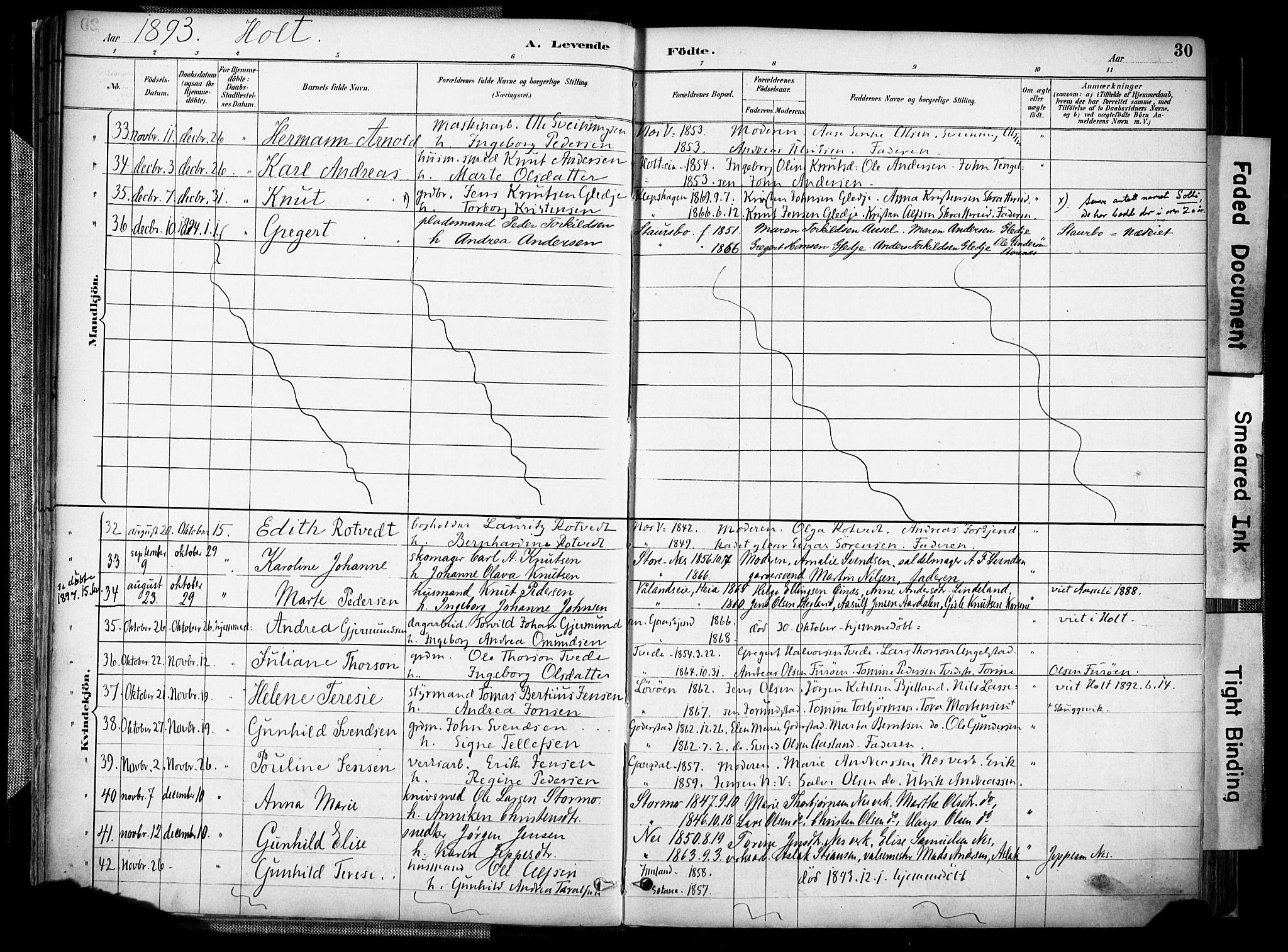 Holt sokneprestkontor, AV/SAK-1111-0021/F/Fa/L0012: Parish register (official) no. A 12, 1885-1907, p. 30