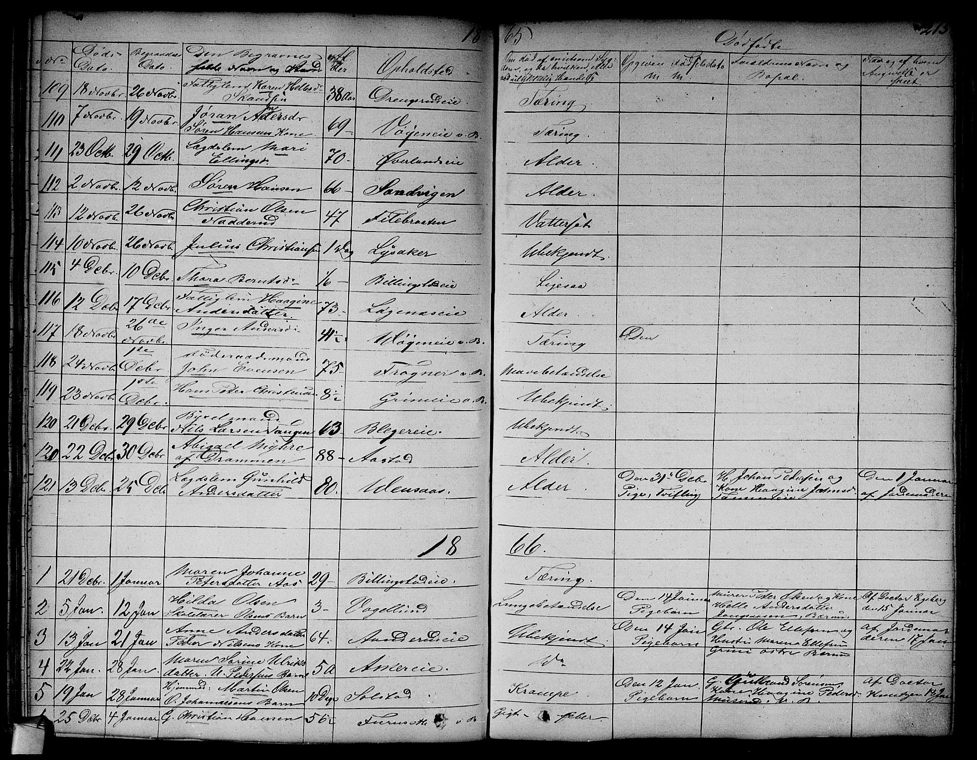 Asker prestekontor Kirkebøker, SAO/A-10256a/F/Fa/L0011: Parish register (official) no. I 11, 1825-1878, p. 215