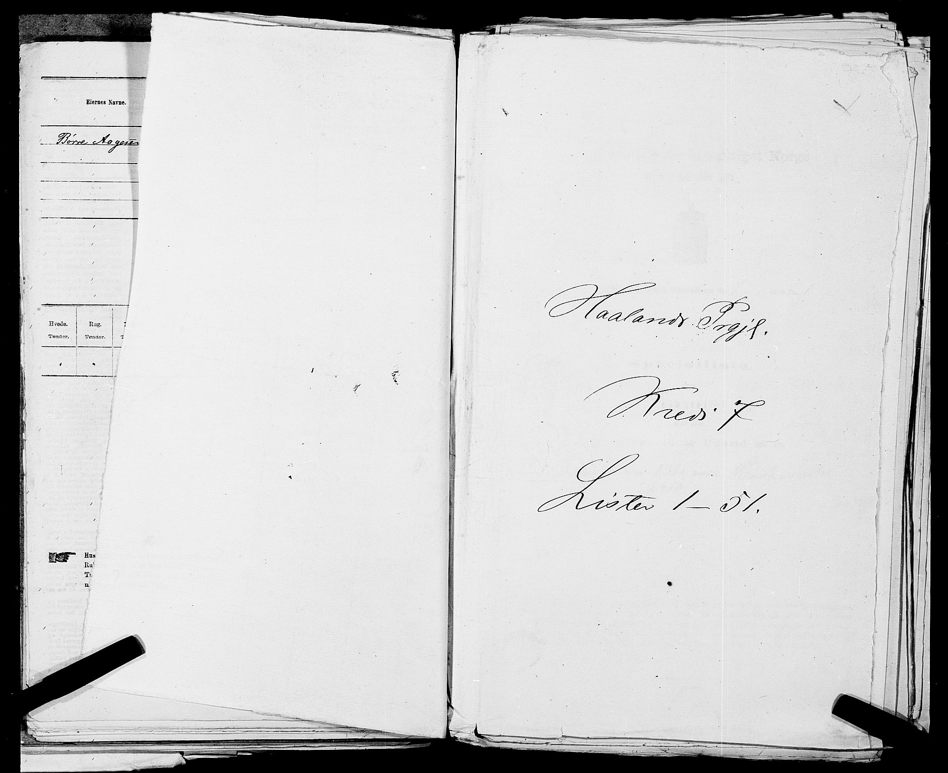 SAST, 1875 census for 1124P Håland, 1875, p. 1007