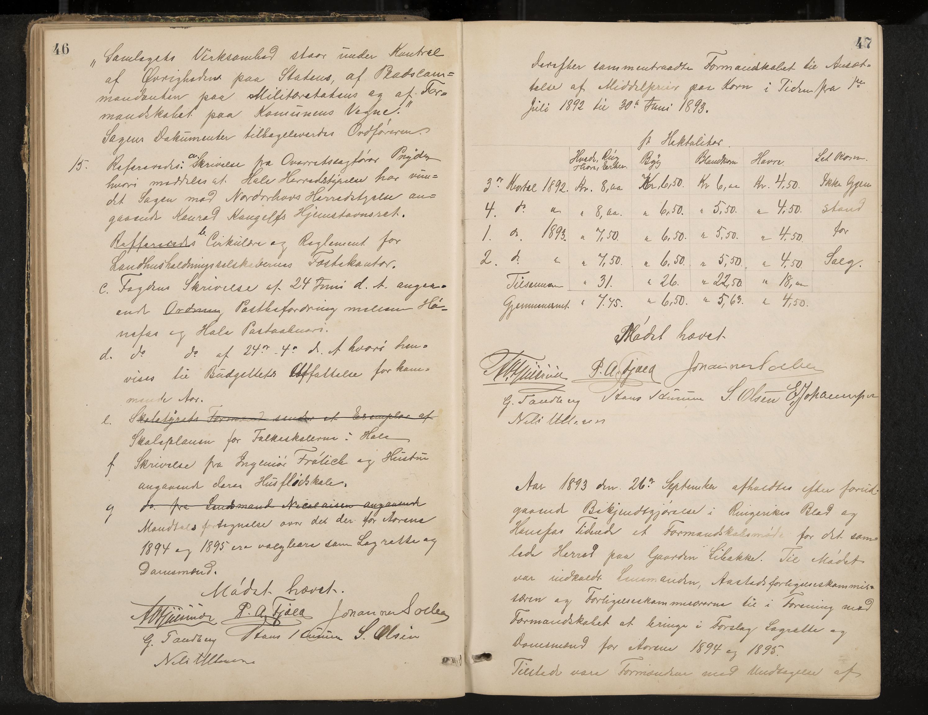 Hole formannskap og sentraladministrasjon, IKAK/0612021-1/A/Aa/L0003: Møtebok med register, 1892-1902, p. 46-47