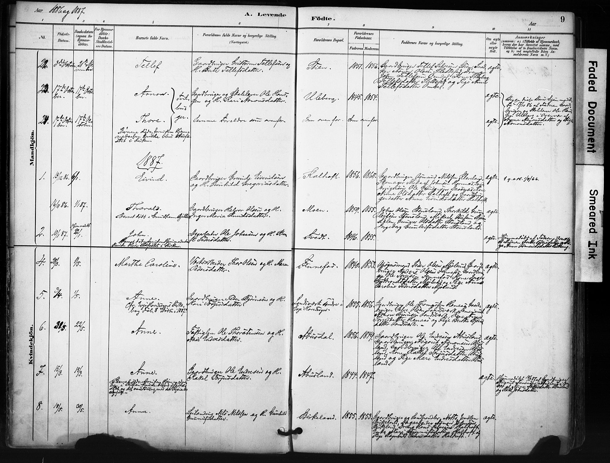 Evje sokneprestkontor, AV/SAK-1111-0008/F/Fa/Fab/L0003: Parish register (official) no. A 3, 1884-1909, p. 9