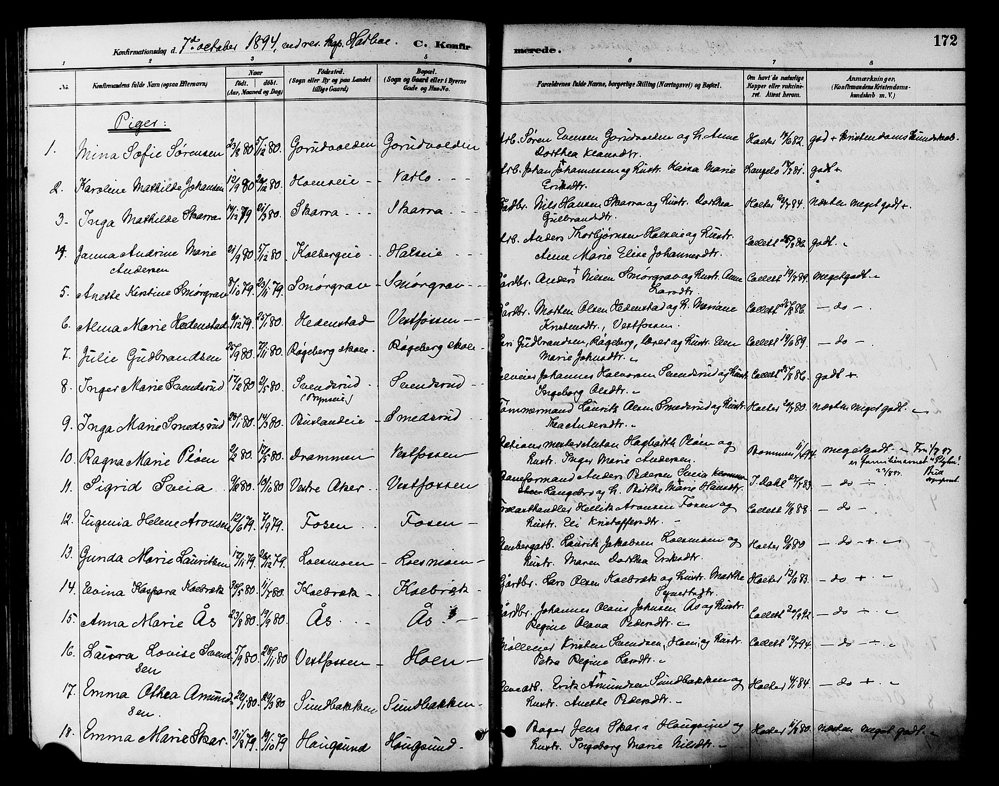Eiker kirkebøker, SAKO/A-4/F/Fb/L0002: Parish register (official) no. II 2, 1889-1896, p. 172