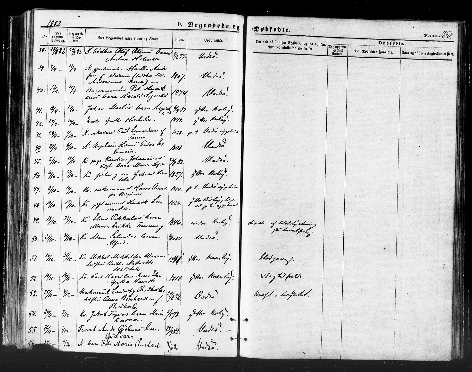 Vadsø sokneprestkontor, SATØ/S-1325/H/Ha/L0005kirke: Parish register (official) no. 5, 1873-1884, p. 260