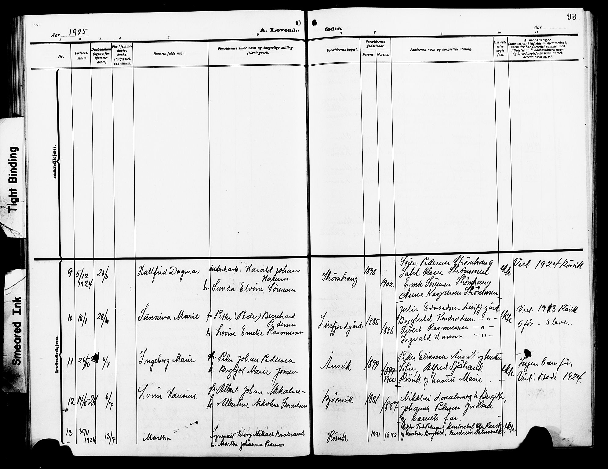 Ministerialprotokoller, klokkerbøker og fødselsregistre - Nordland, AV/SAT-A-1459/854/L0787: Parish register (copy) no. 854C03, 1913-1926, p. 93