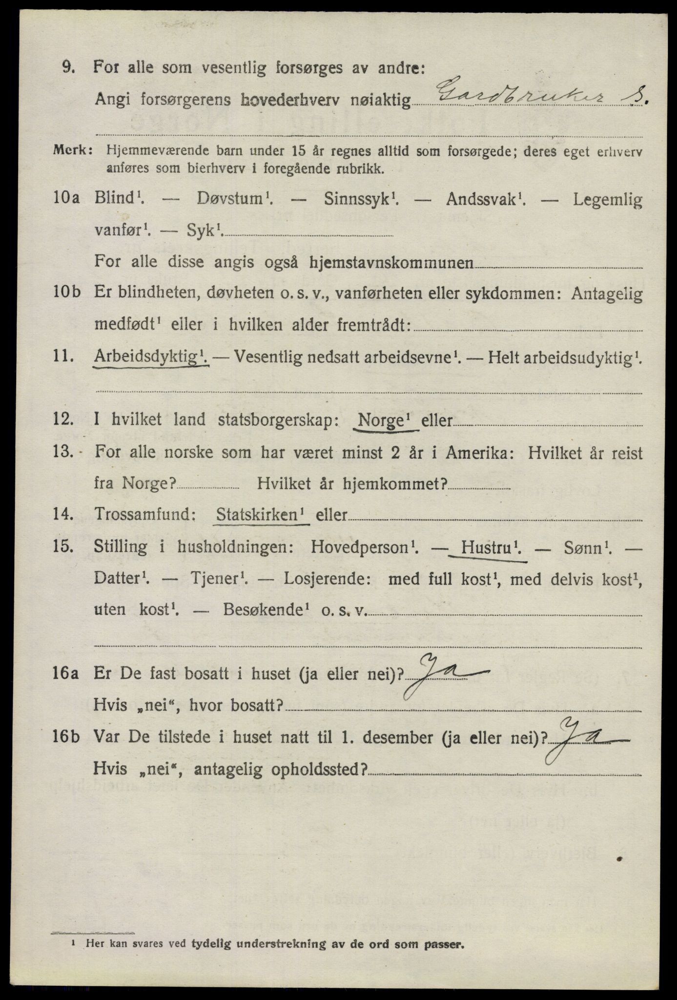SAO, 1920 census for Nes, 1920, p. 6613