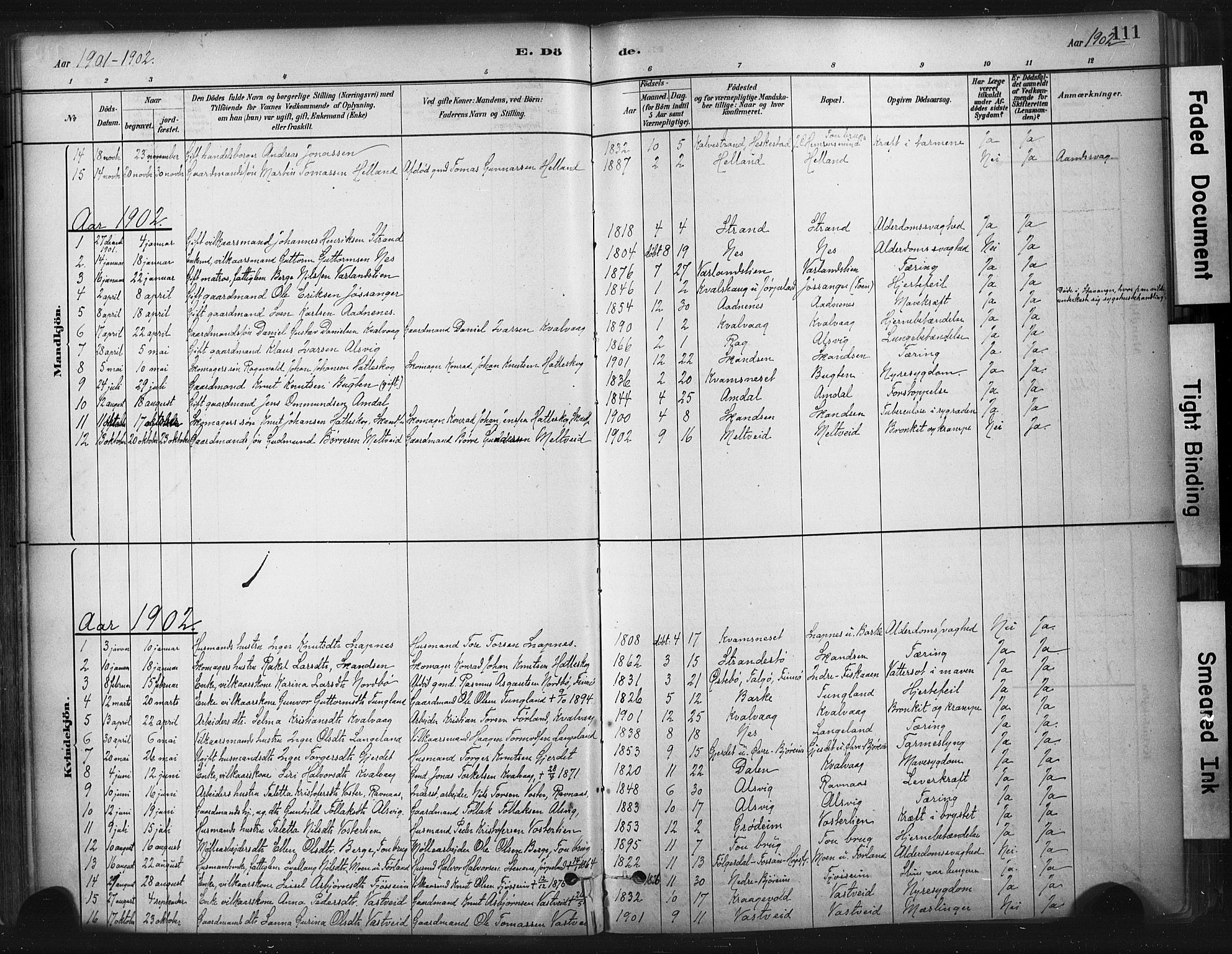 Strand sokneprestkontor, SAST/A-101828/H/Ha/Haa/L0010: Parish register (official) no. A 10, 1882-1929, p. 111