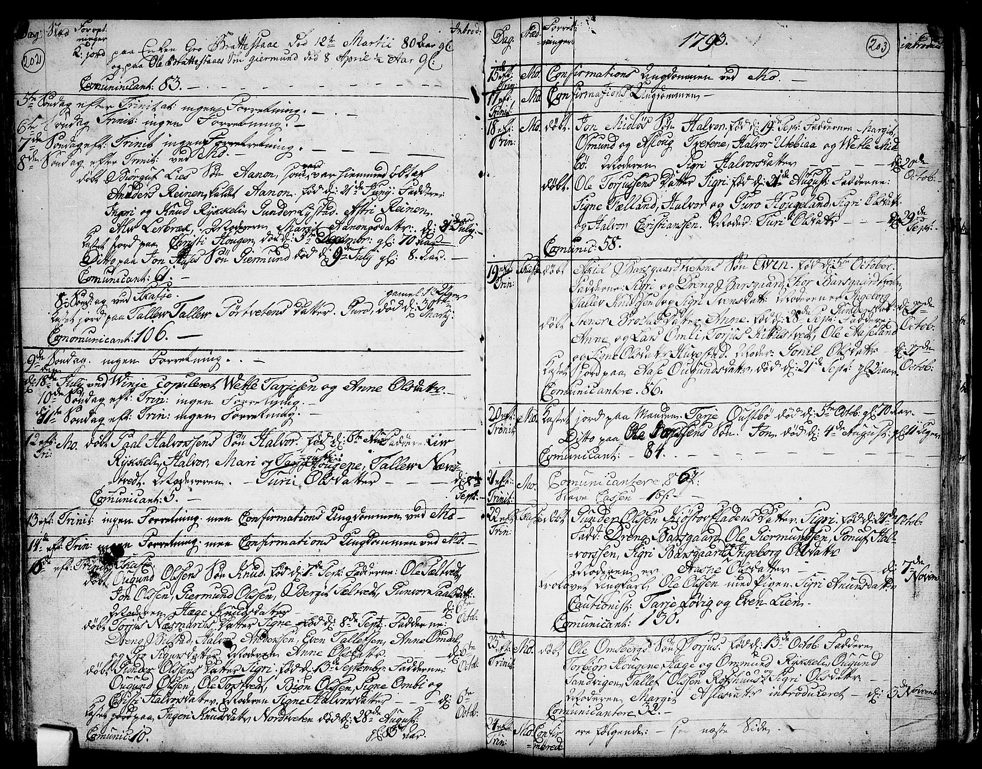 Mo kirkebøker, SAKO/A-286/F/Fa/L0002: Parish register (official) no. I 2, 1766-1799, p. 202-203