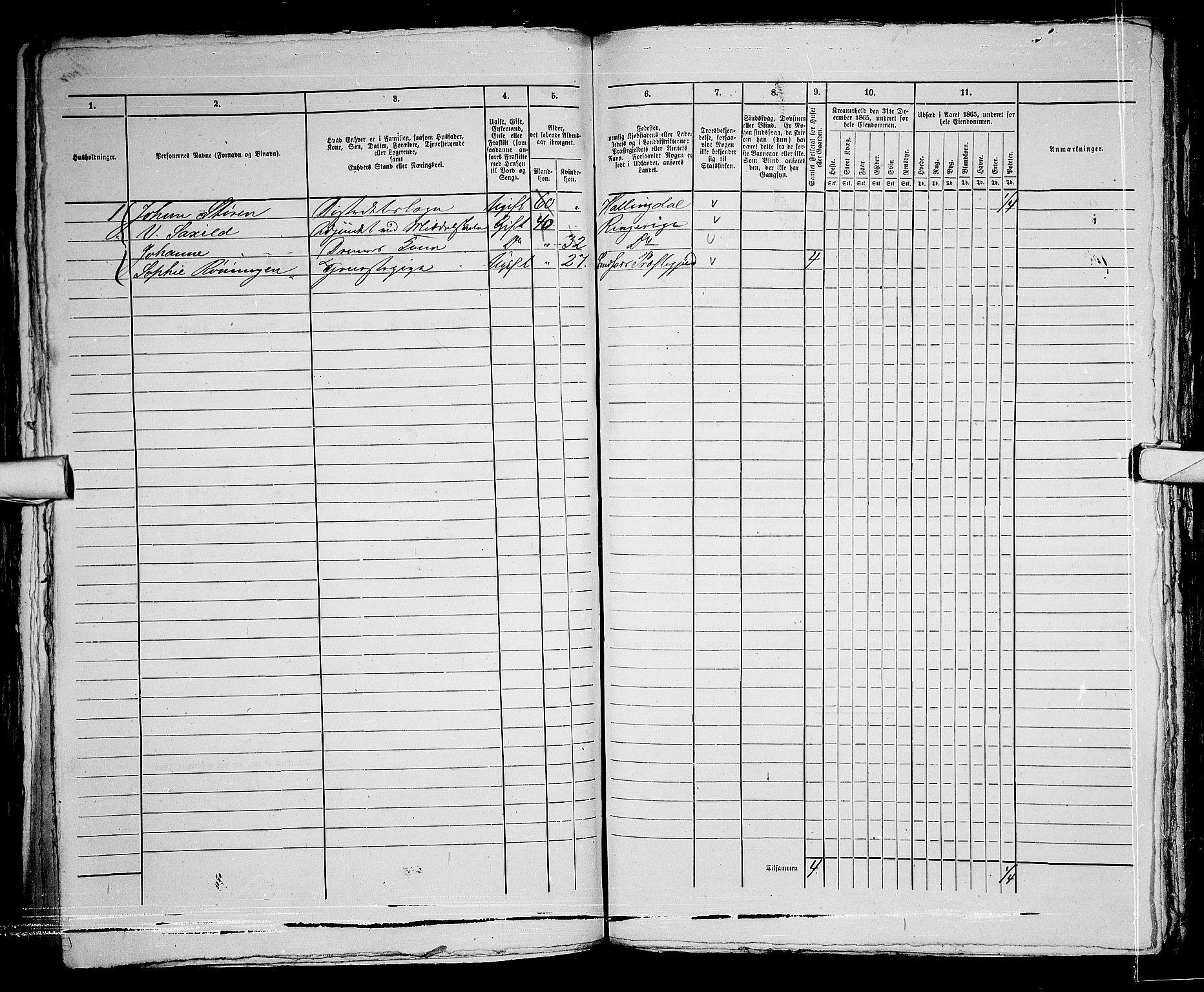 RA, 1865 census for Kongsberg/Kongsberg, 1865, p. 823