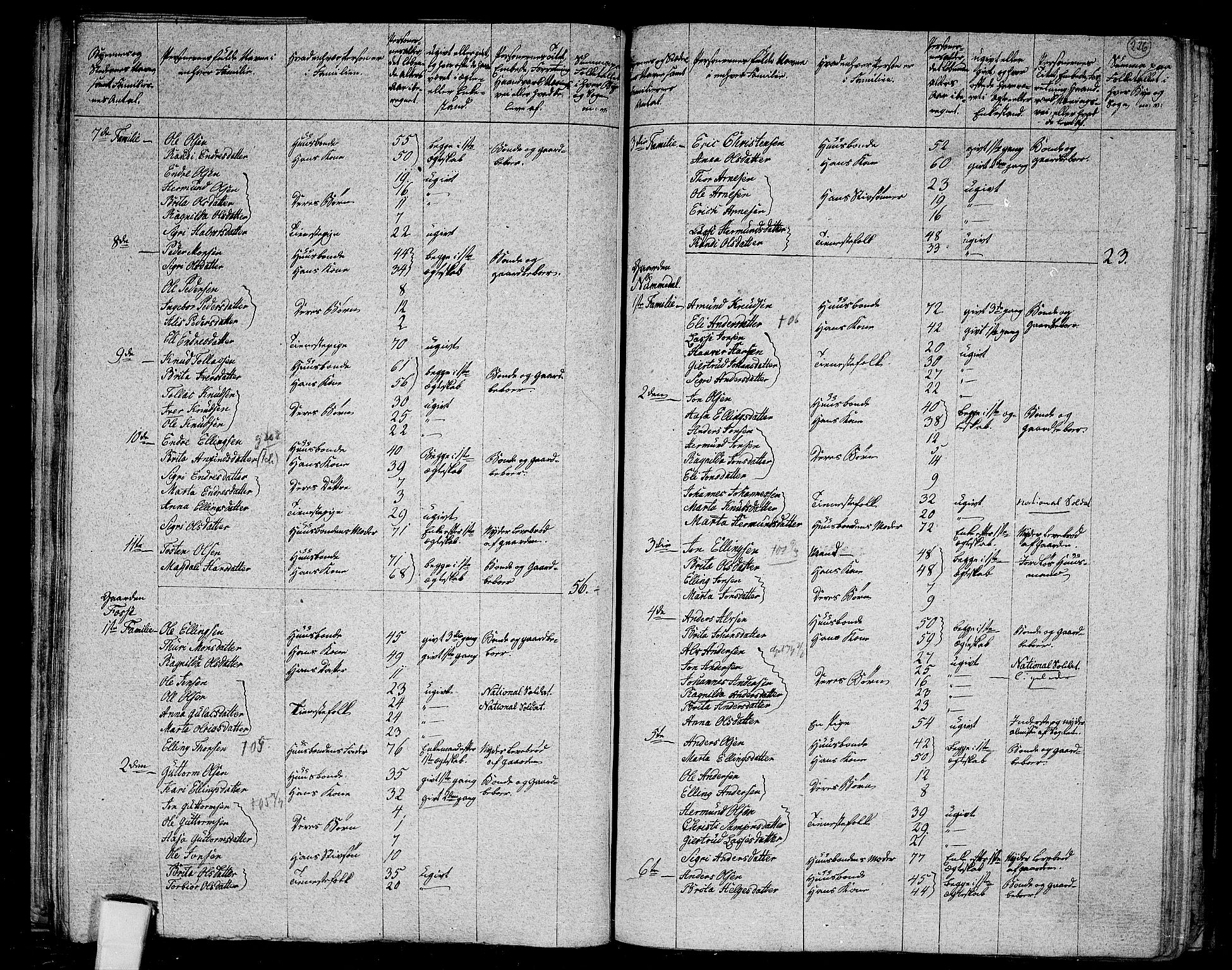 RA, 1801 census for 1417P Vik, 1801, p. 225b-226a